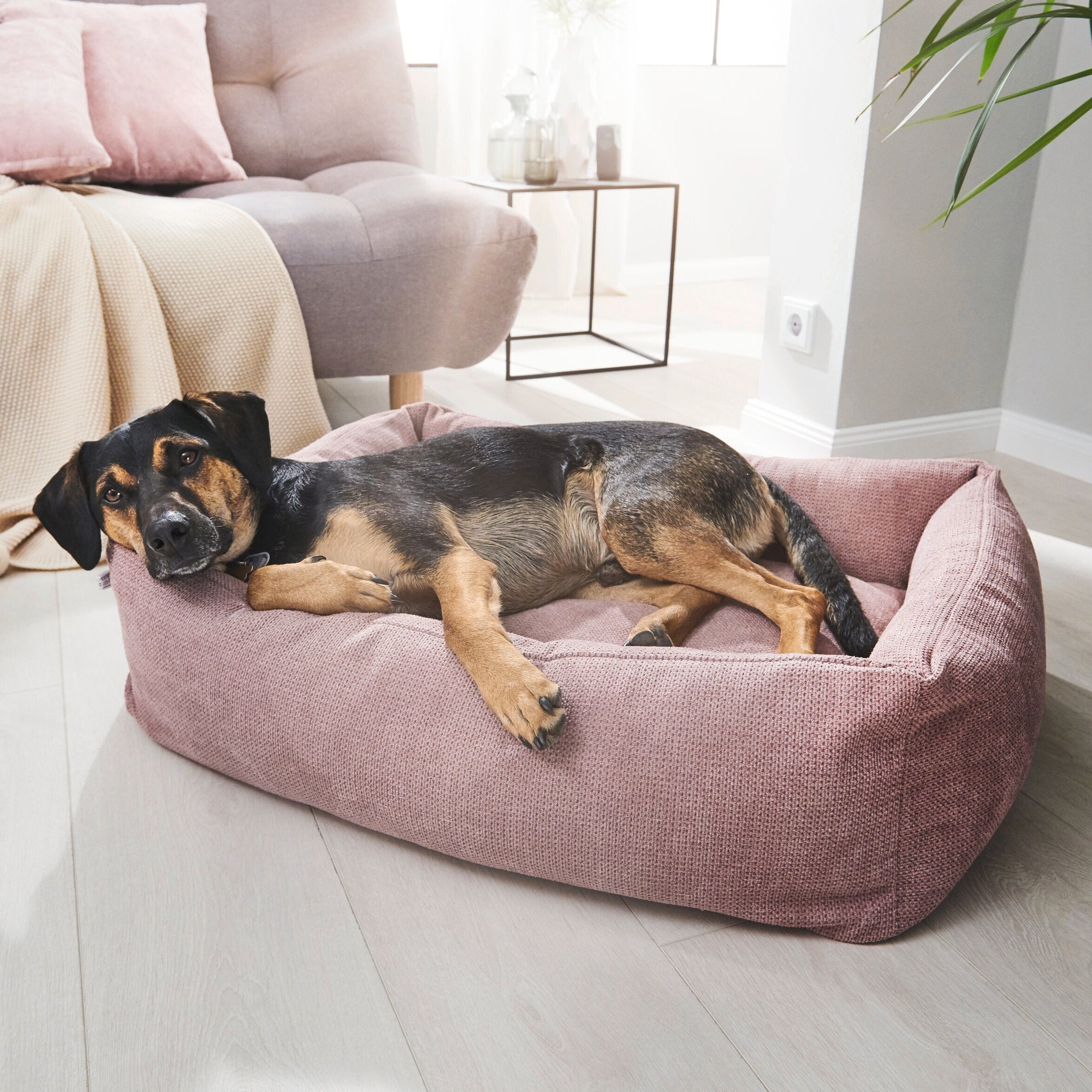 Laboni-Classic-Hundebett-Tudor--Hund