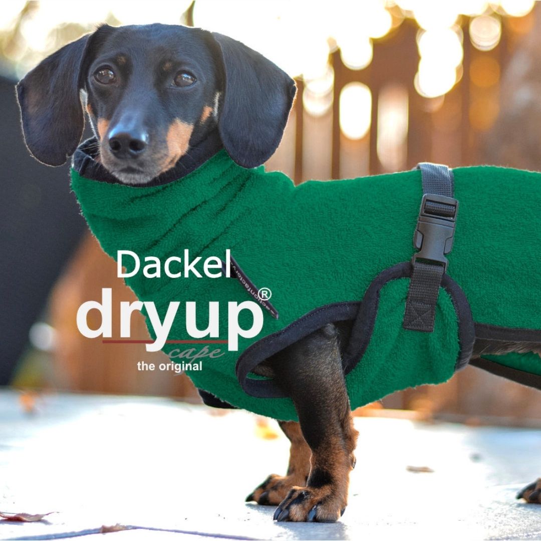Hundebademantel-Dryup-Cape-Dackel-Grün