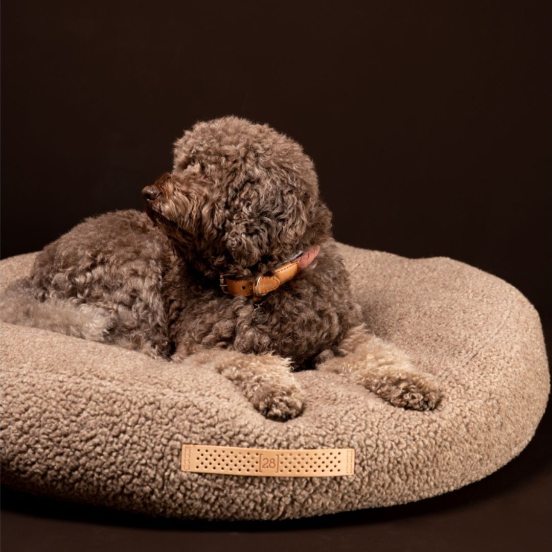 2.8-duepuntootto-design-for-dogs-hundekissen-fulvio-boucle-wolle-Natur-Hund