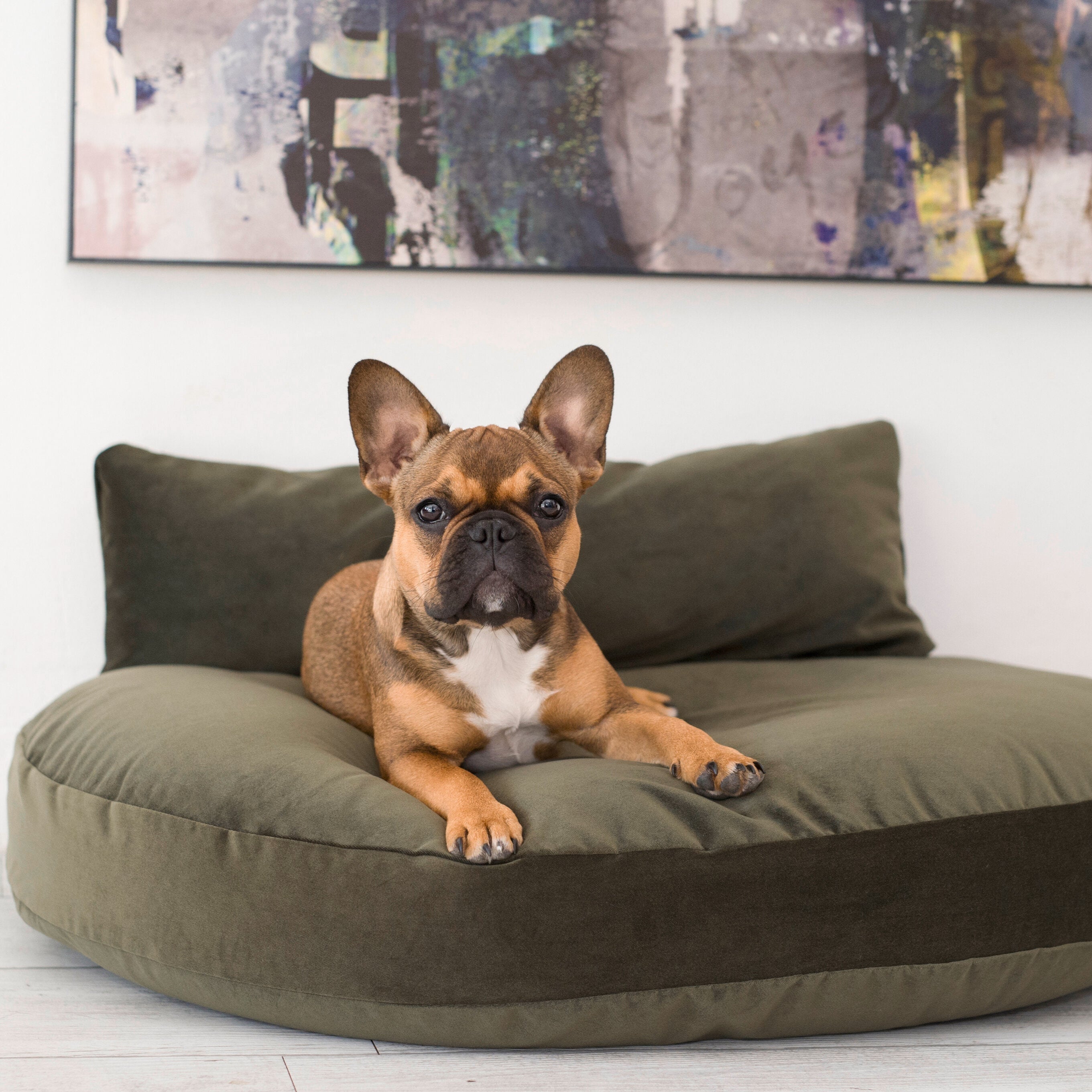 Hundekissen-Luna-Lounge-Oxford-Laboni-Olive-Bulldogge