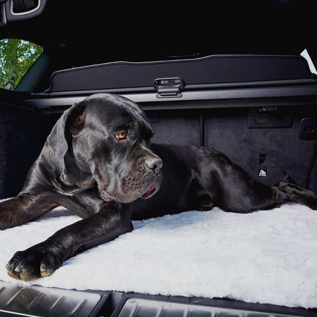 Laboni-Hundedecke-Cozy-light-grey-Auto
