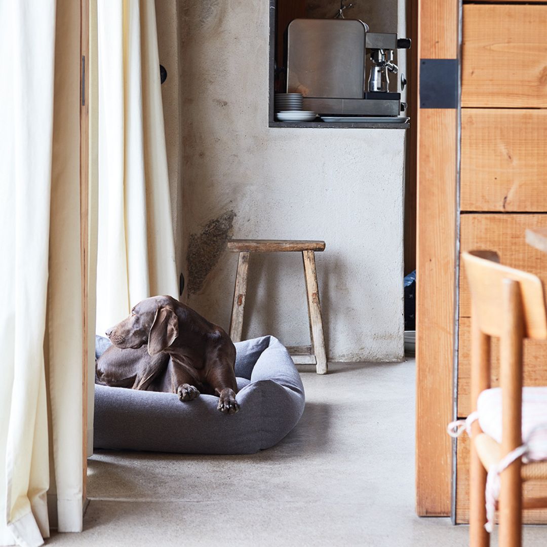 Hundebett Sleepy Deluxe Tweed Taupe