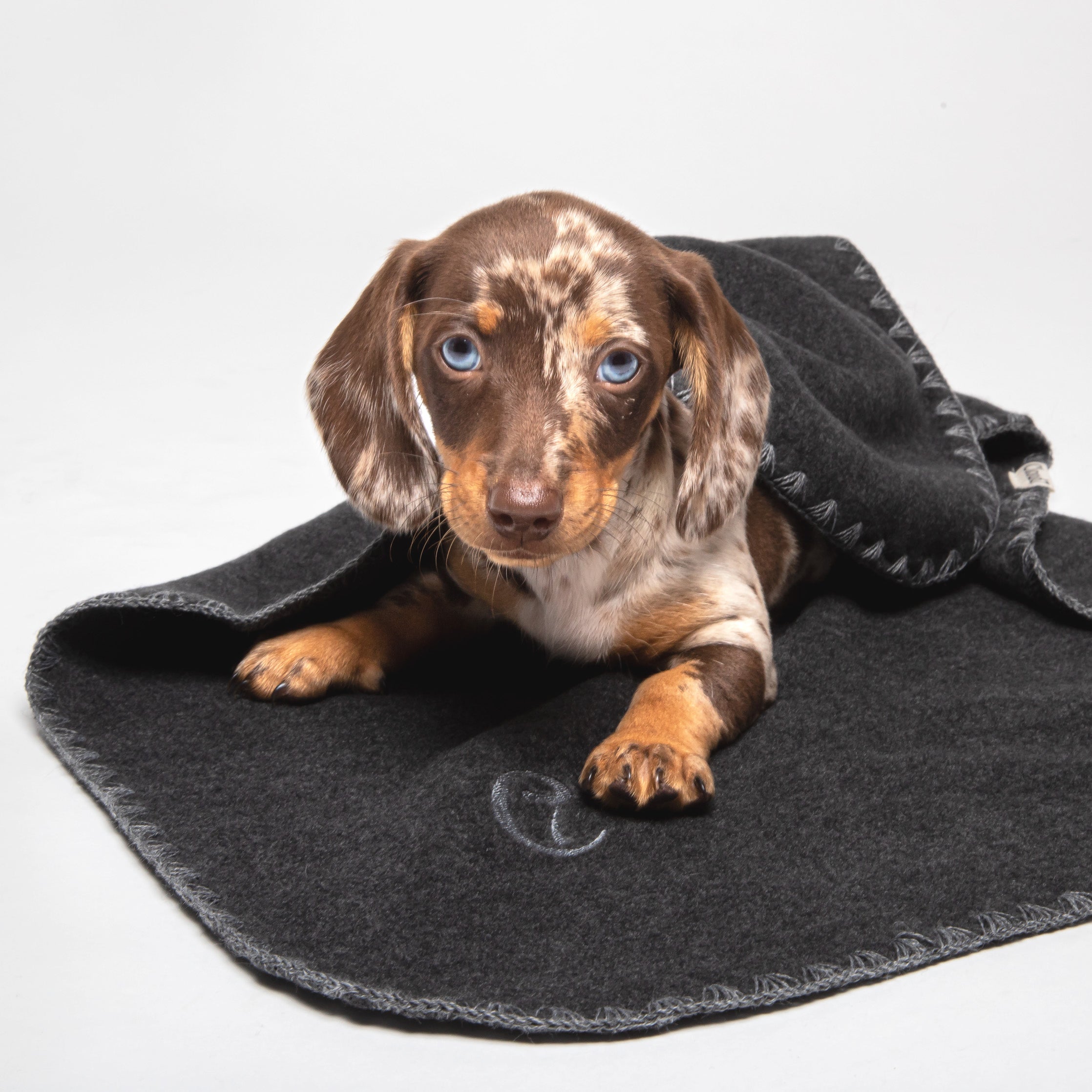 Cloud7-Hundedecke-Soft-Fleece-Dark-Grey-Hund