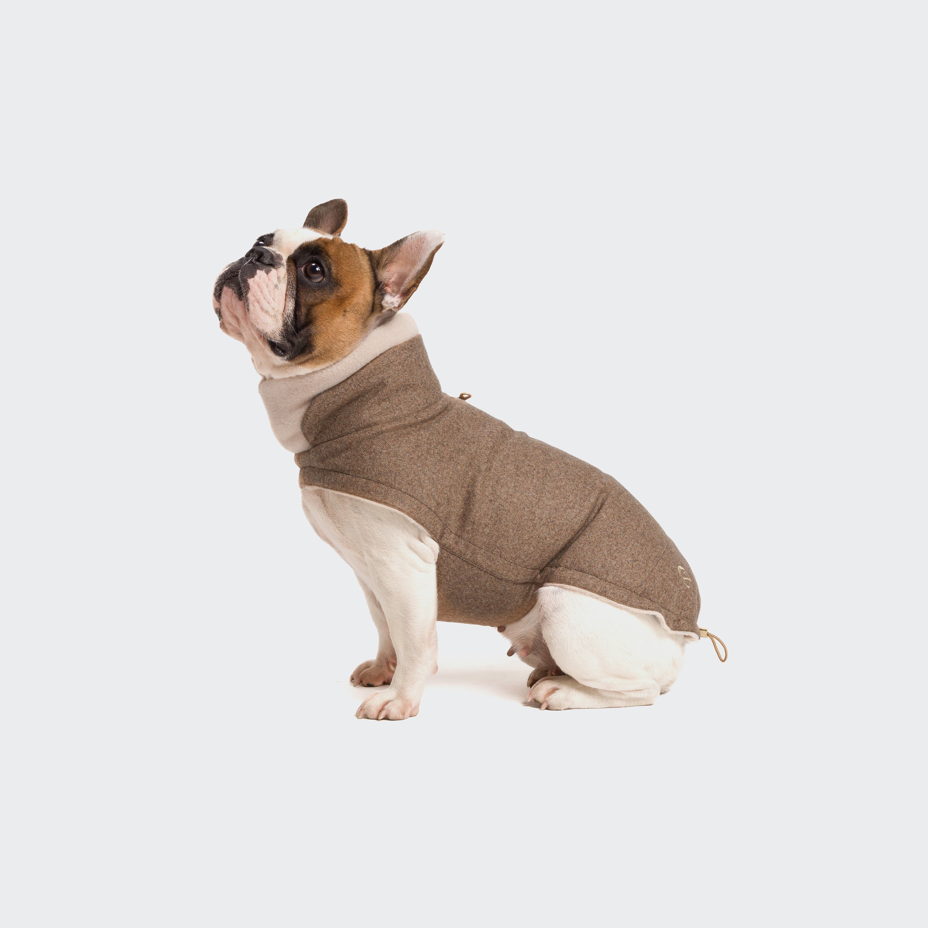 cloud7-hundemantel-brooklyn-fr.bulldogge-flannel-hazel-Hund