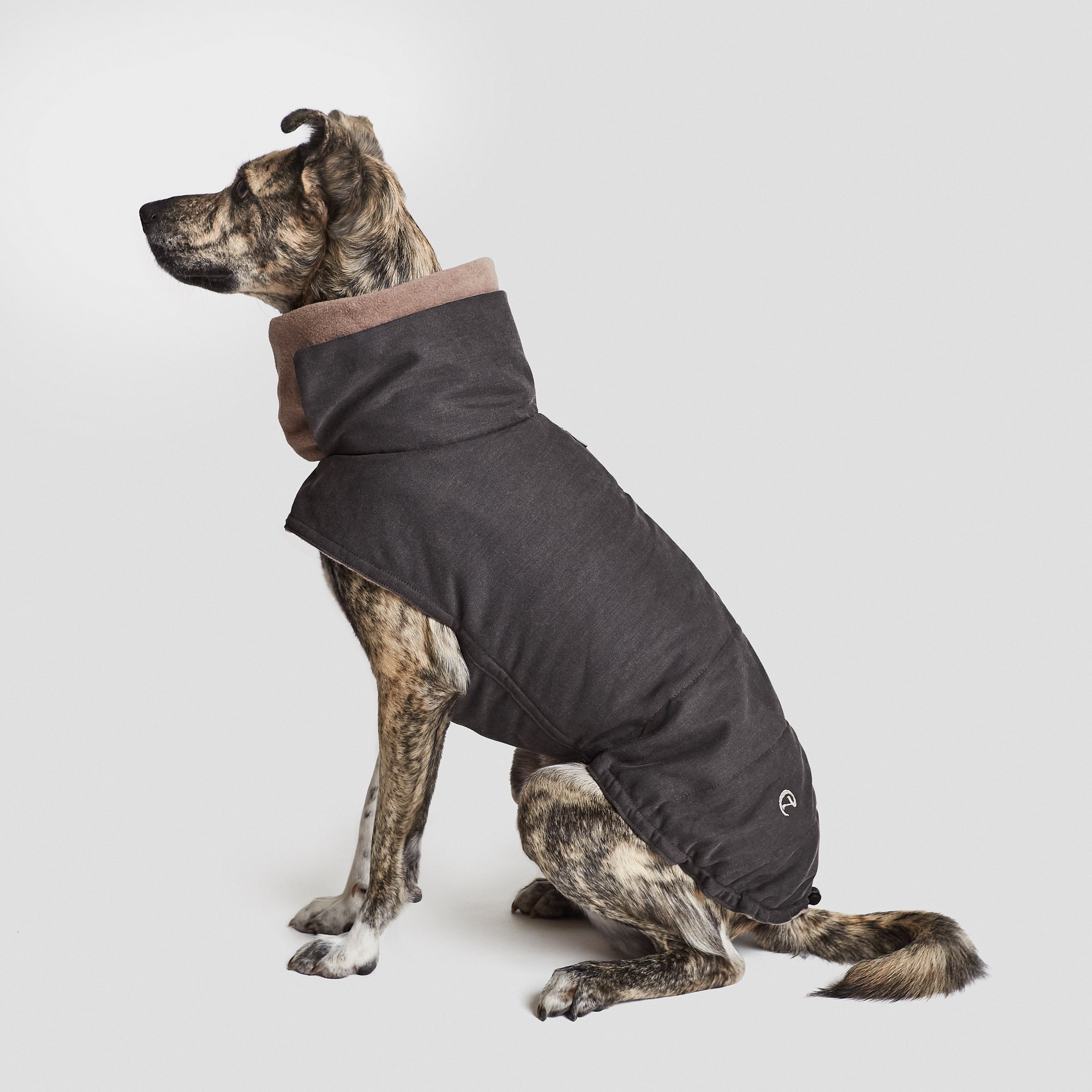 Cloud7-Dog-Coat-Brooklyn-Waterproof-Graphite