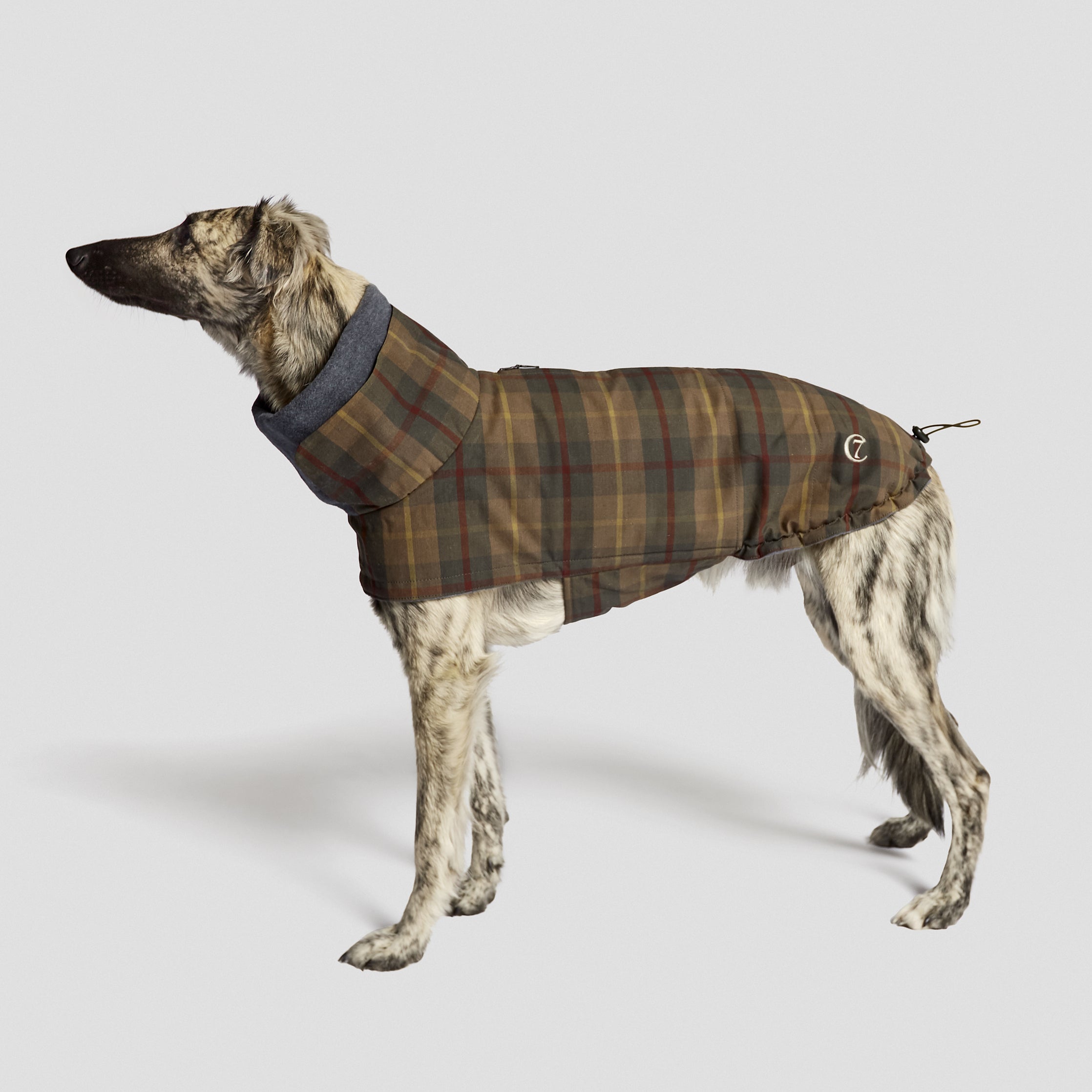 Cloud7-Hundemantel-Brooklyn-Waxed-Tartan-Hund-stehend-2
