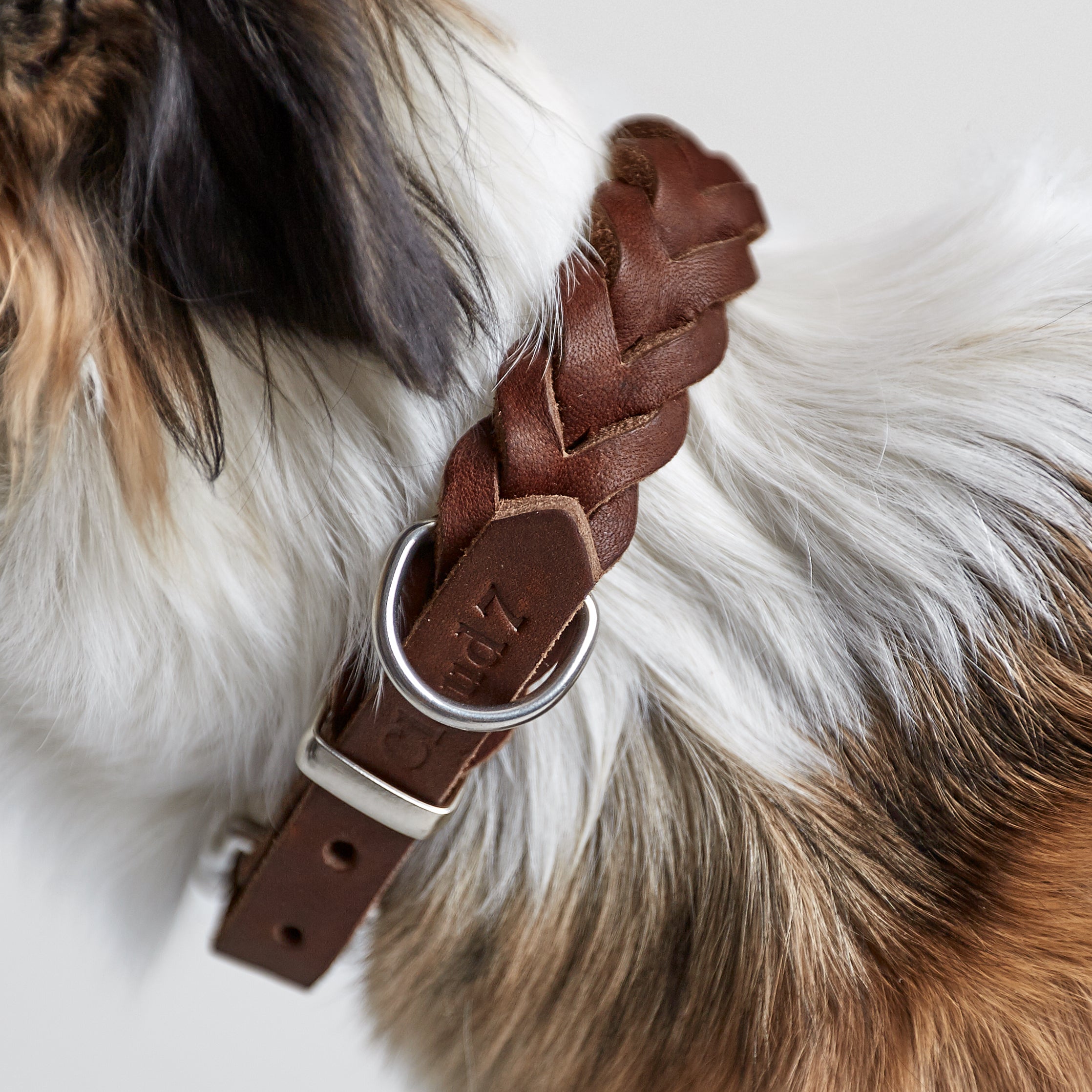 Halsband Central Park Saddle Brown