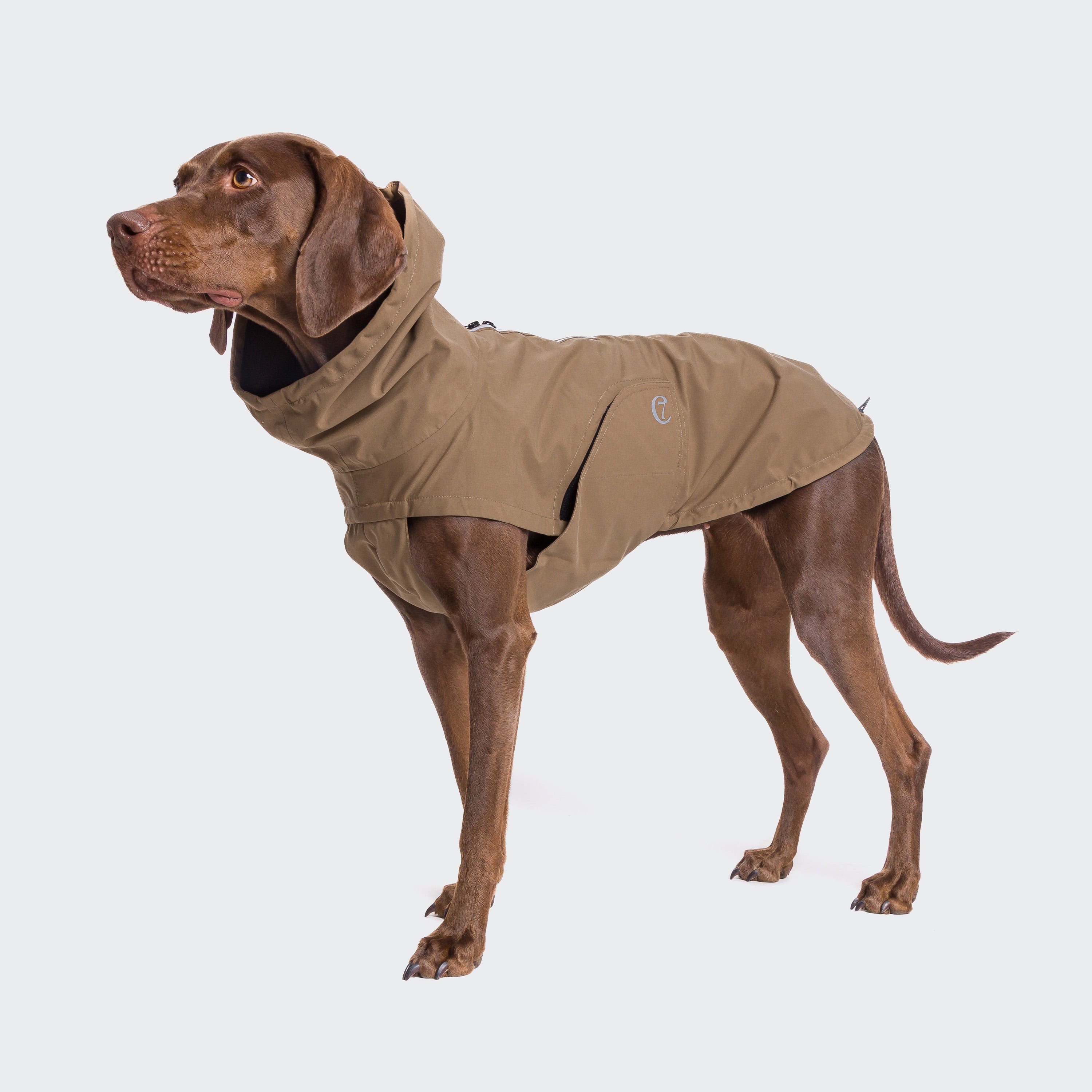 Hunderegenmantel-Dublin-Cloud7-Sienna-Hund