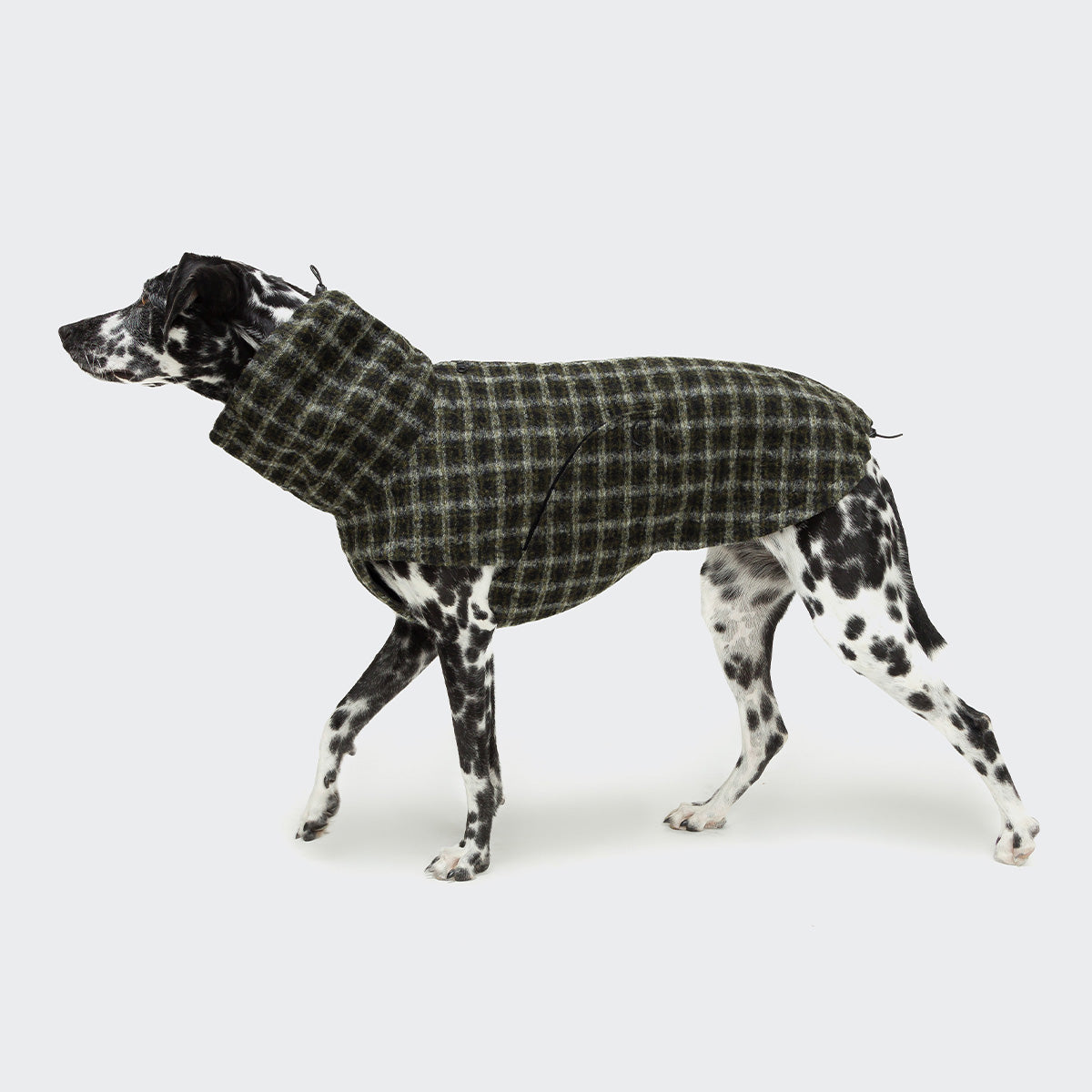 Cloud7-Hundemantel-Glasgow-Plaid-Green-Hund2
