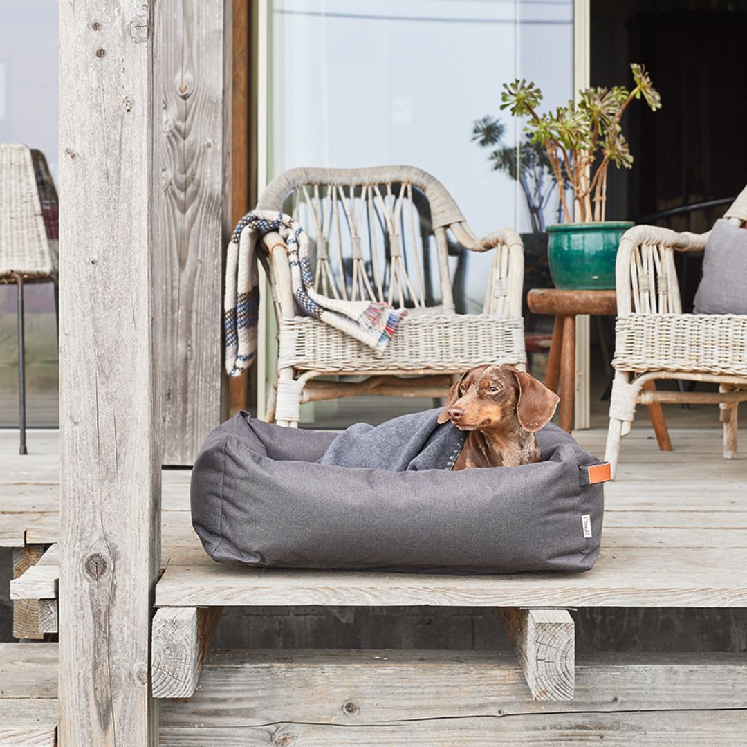 Cloud7-Hundebett-Sleepy-Deluxe-Outdoor-Graphite-Mood3