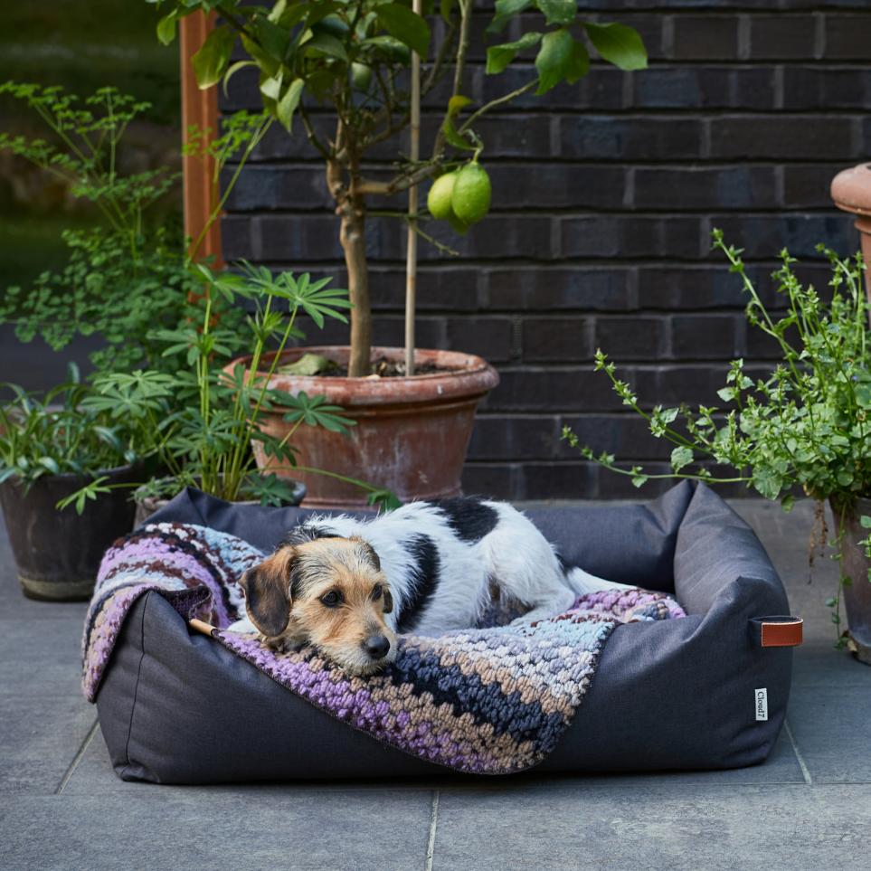 Cloud7-Hundedecke-Woodstock-Outdoorbett