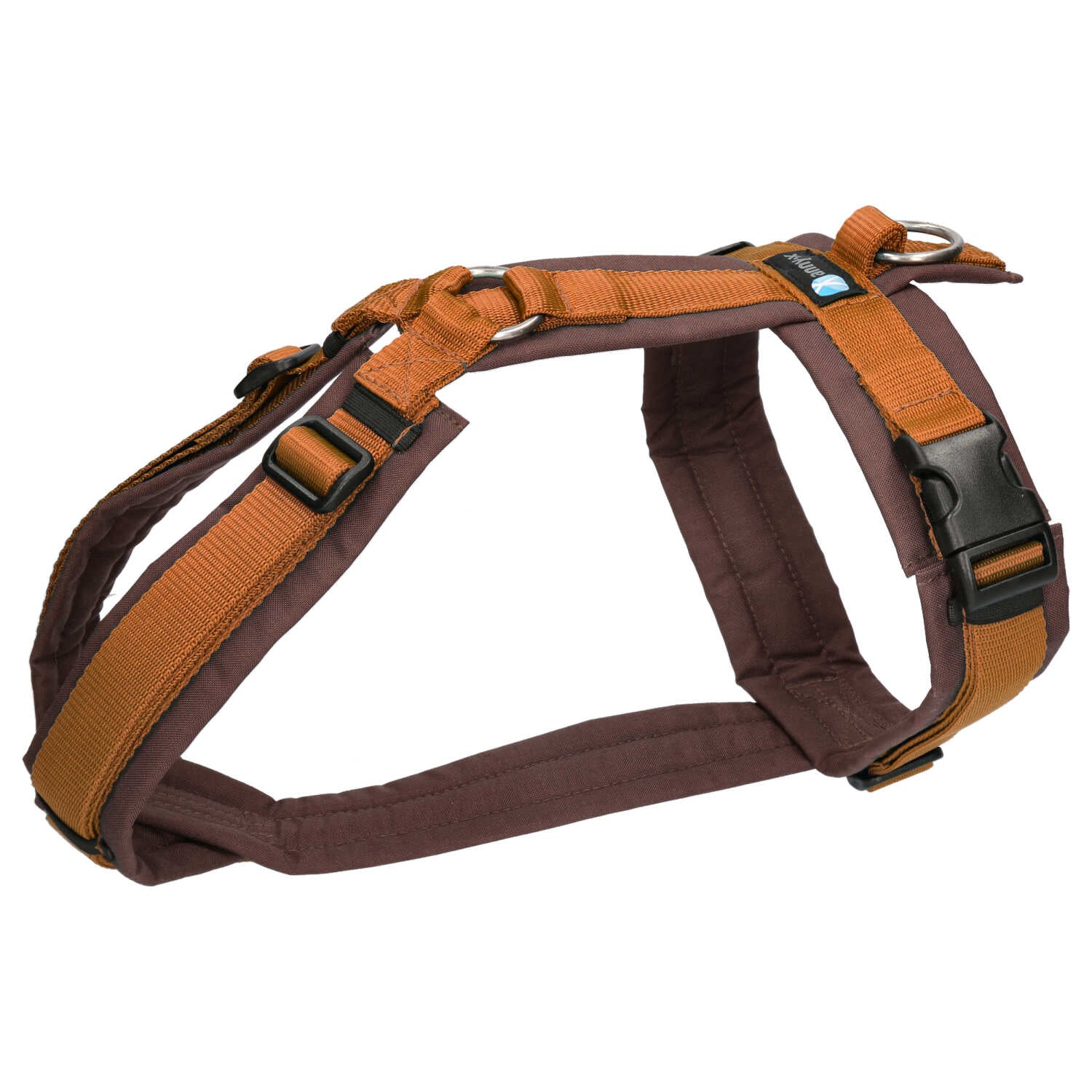 AnnyX-Hundegeschirr-Fun-Braun-Bernstein