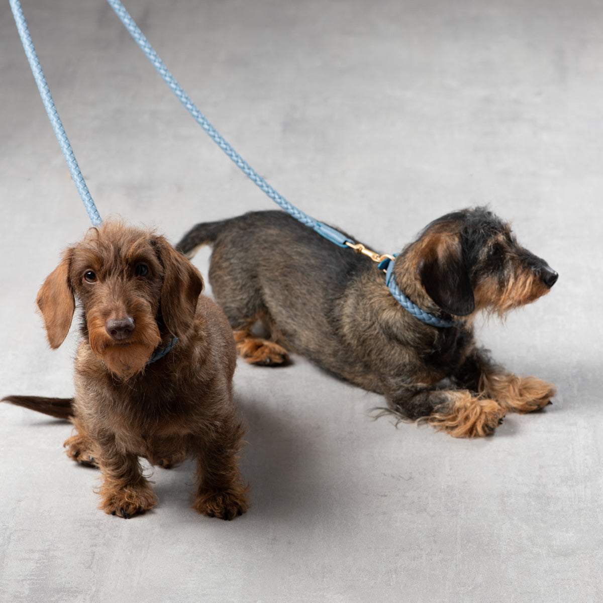 City Leine Ferdinando Dusty Blue