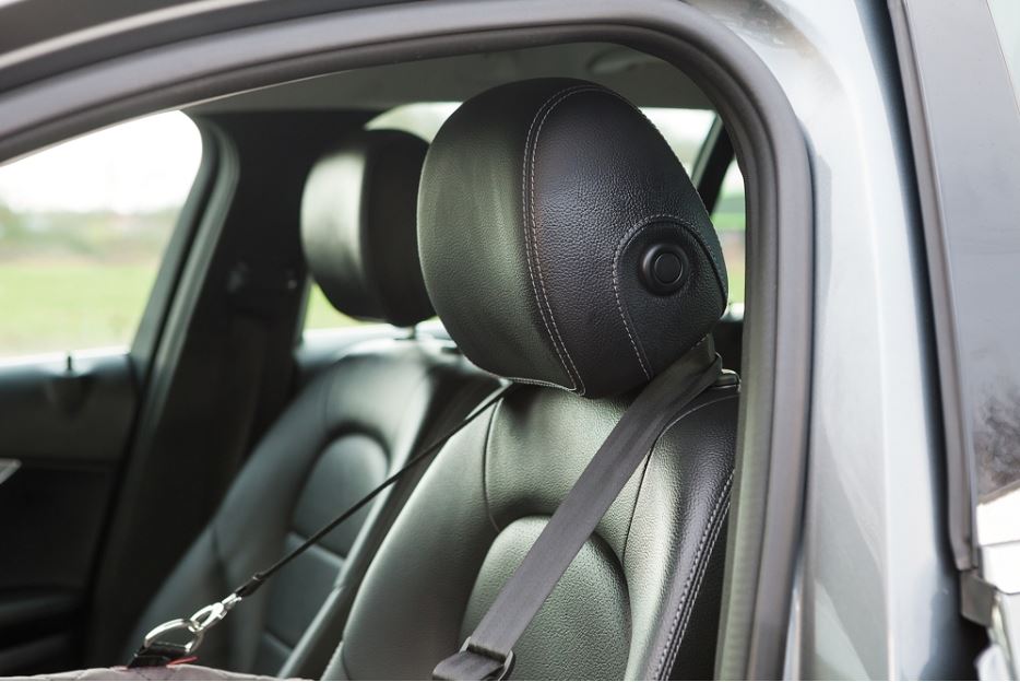 KONG-Autositz-Befestigung-oben