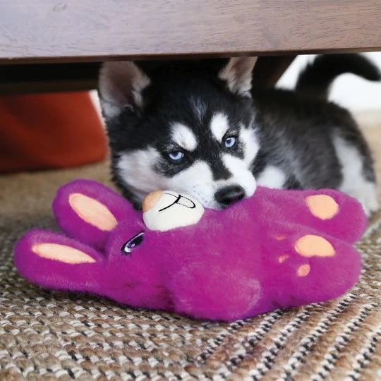 Kong-Snuzzles-Bunny-Hund