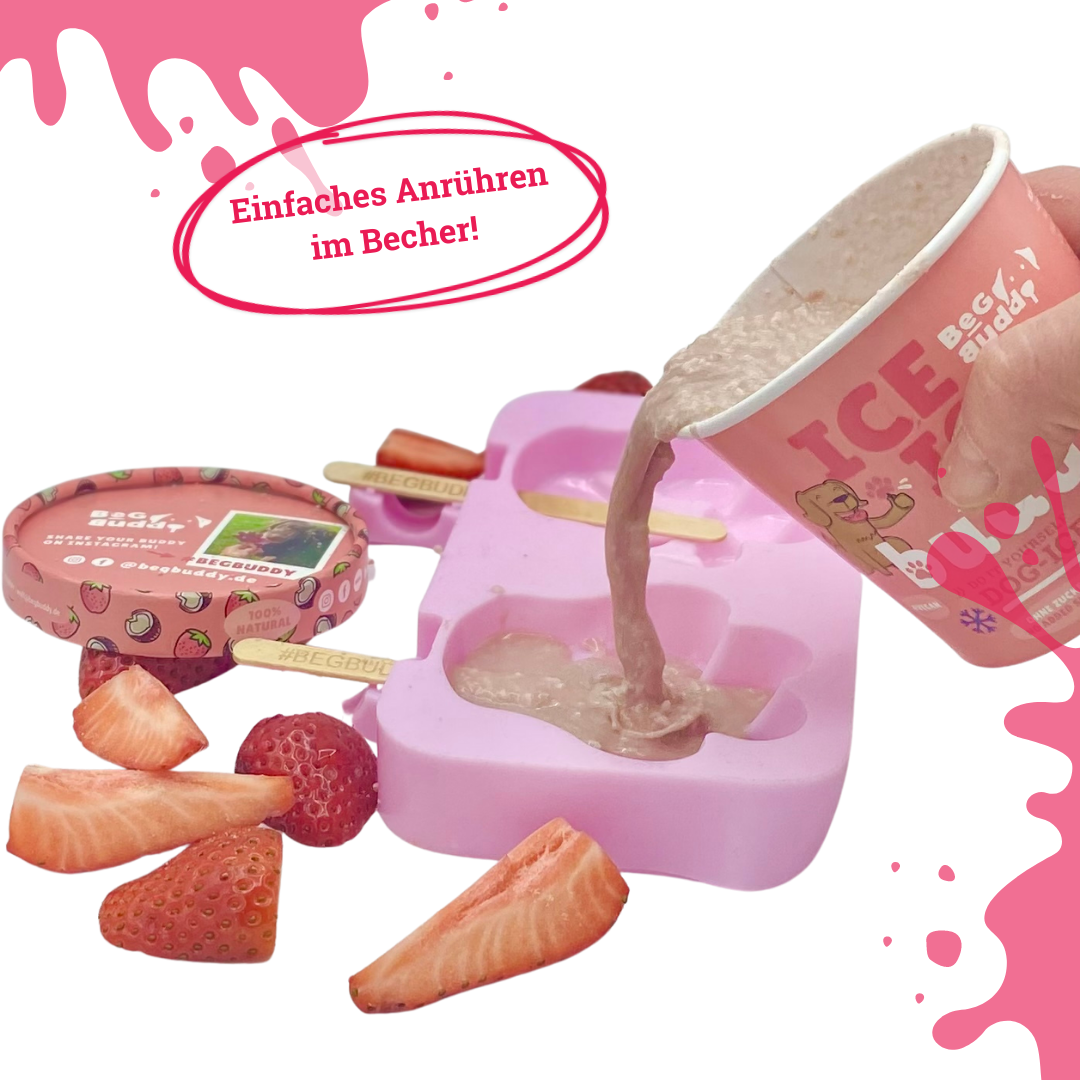 Hundeeis-Ice-Ice-Buddy-BeGBuddy-Kokos-Erdbeere-Zubereitung