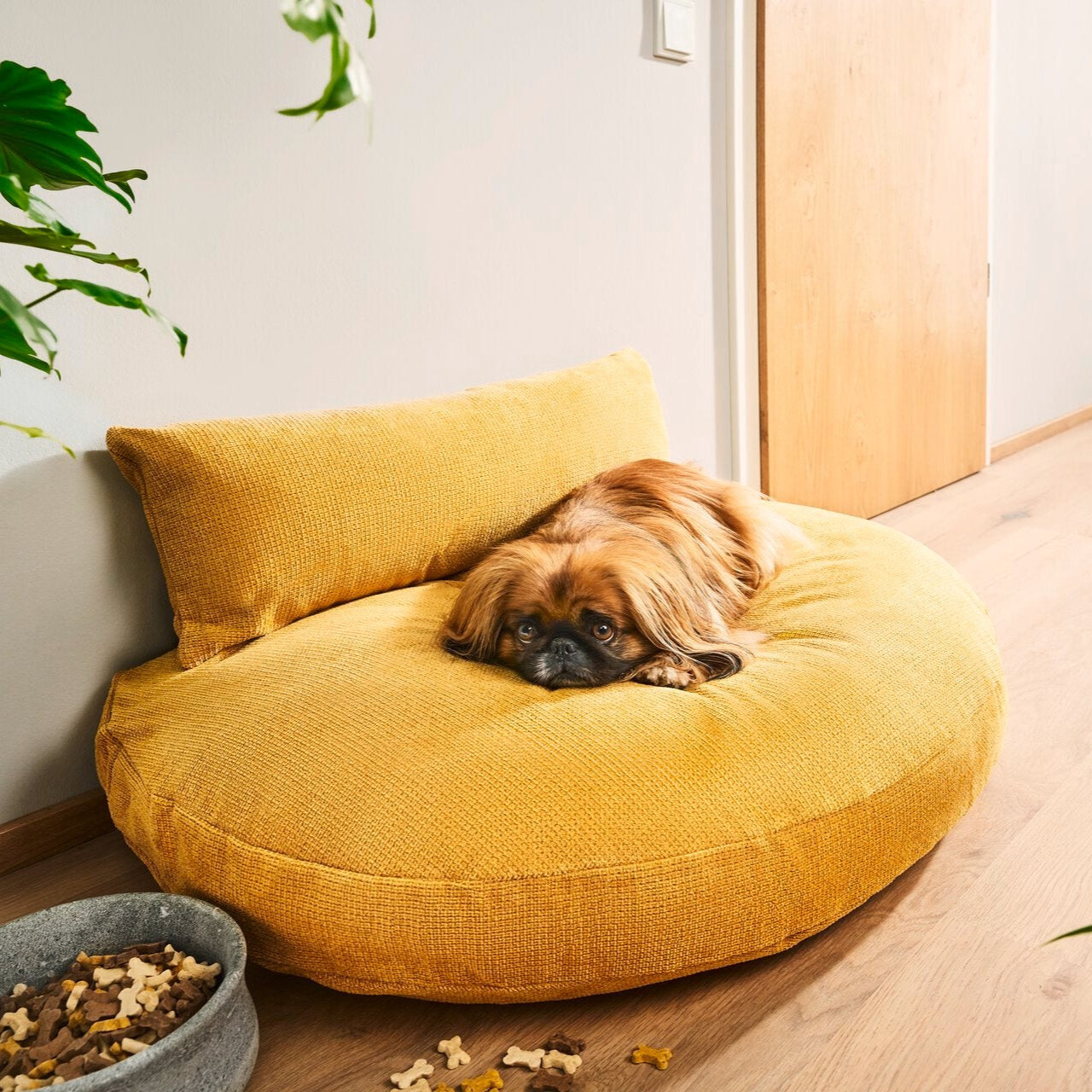 Laboni-Hundekissen-Luna-Lounge-Tudor-Gold2