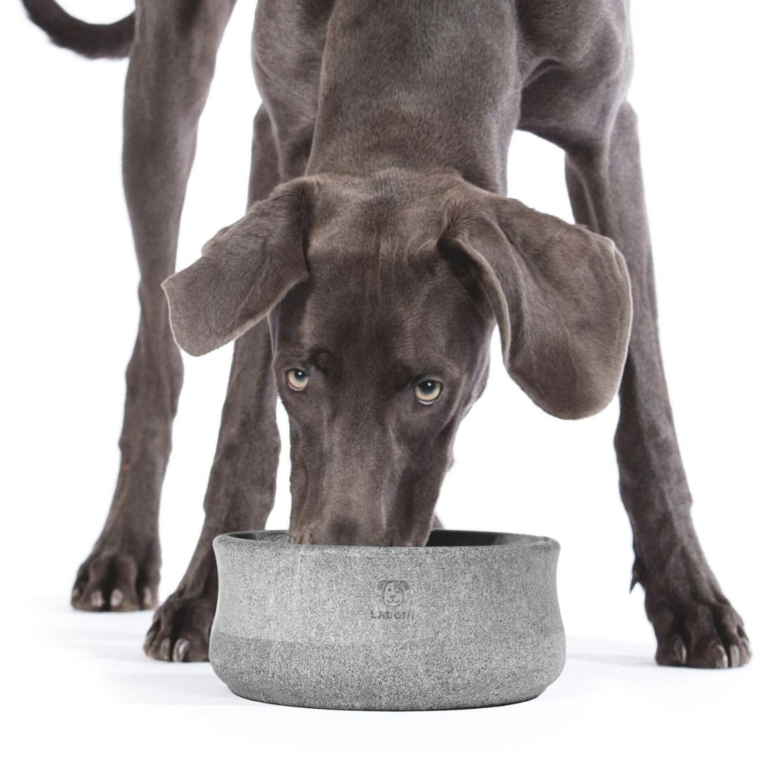 Laboni-Hundenapf-Rocky-gross-Hund
