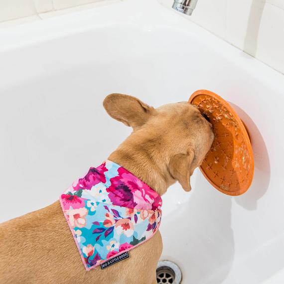 Licki-Mat-Splash-orange