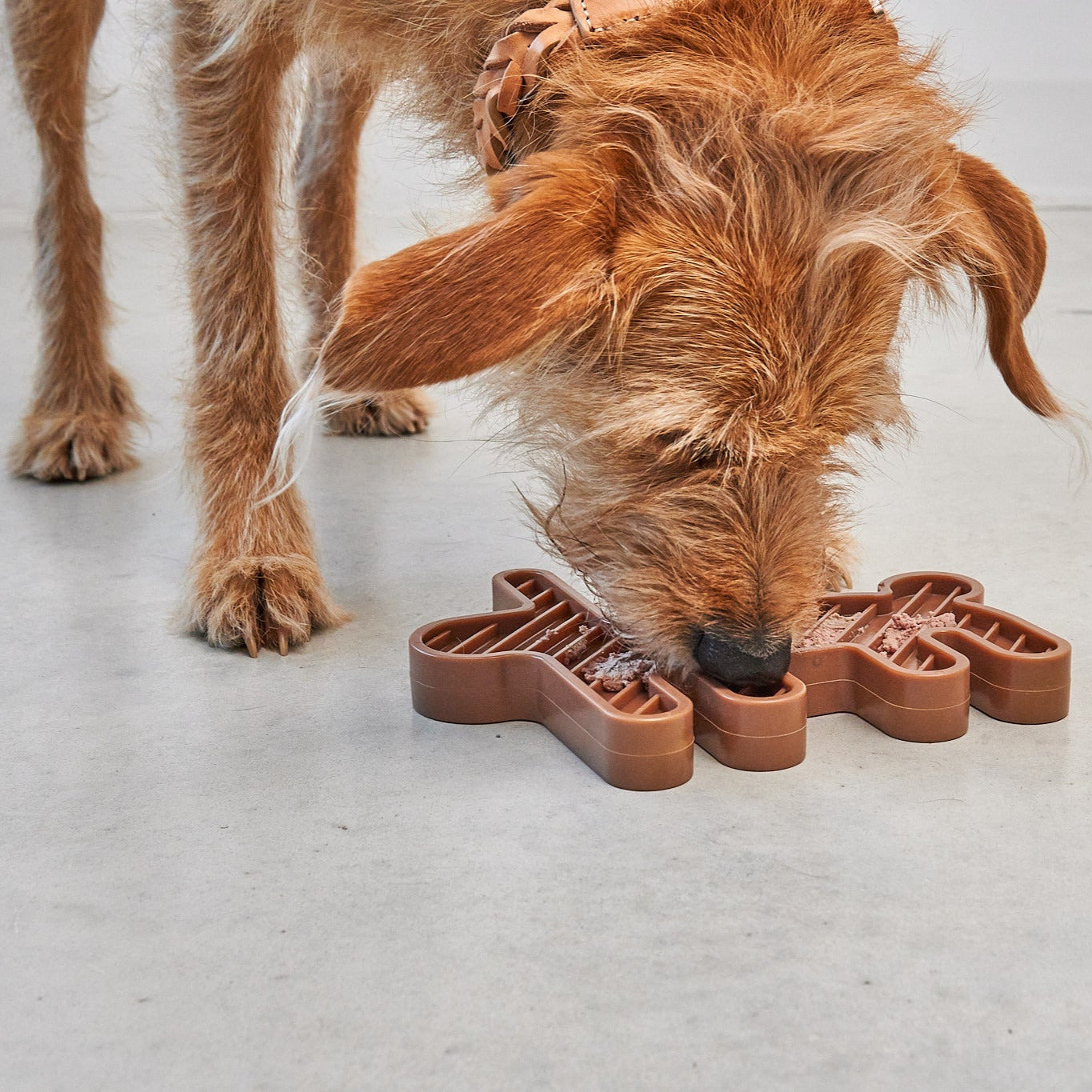 MiaCara-Hundespielzeug-Schleckmatte-Lepre-Hase-Sandelholz-Hund