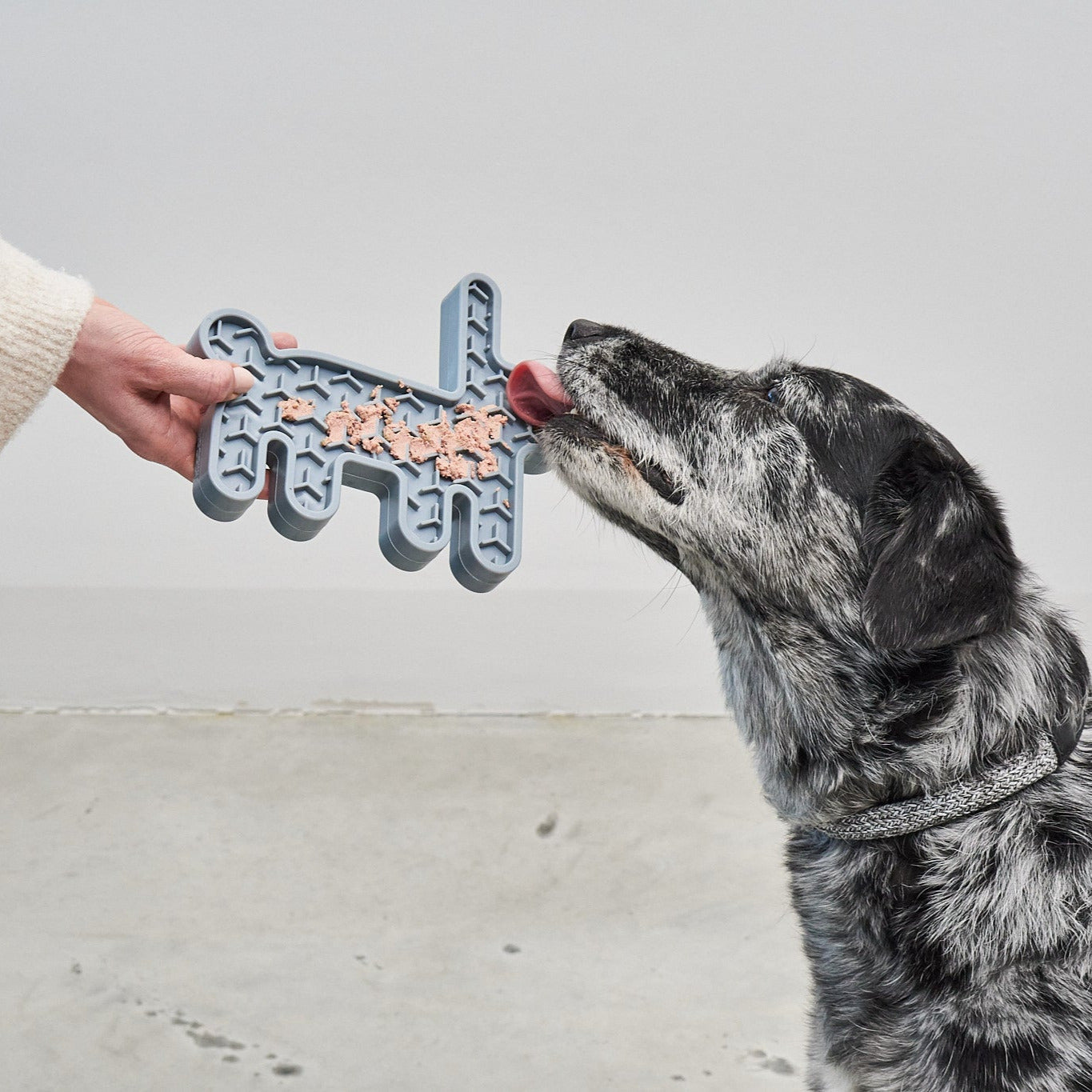 MiaCara-Hundespielzeug-Schleckmatte-Lepre-Hase-Himmel-Mood