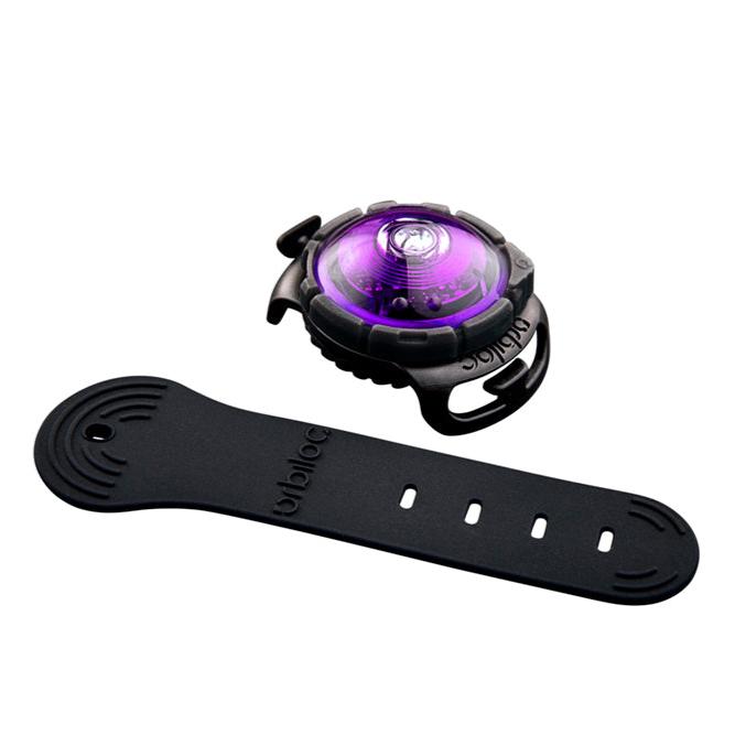 Orbiloc-Dog-Dual-Sicherheitslicht-Purple-Strap