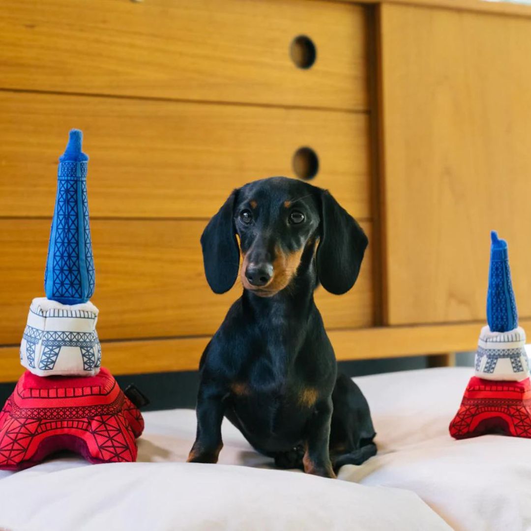 PLAY-Hundespielzeug-Eiffelturm-Dackel