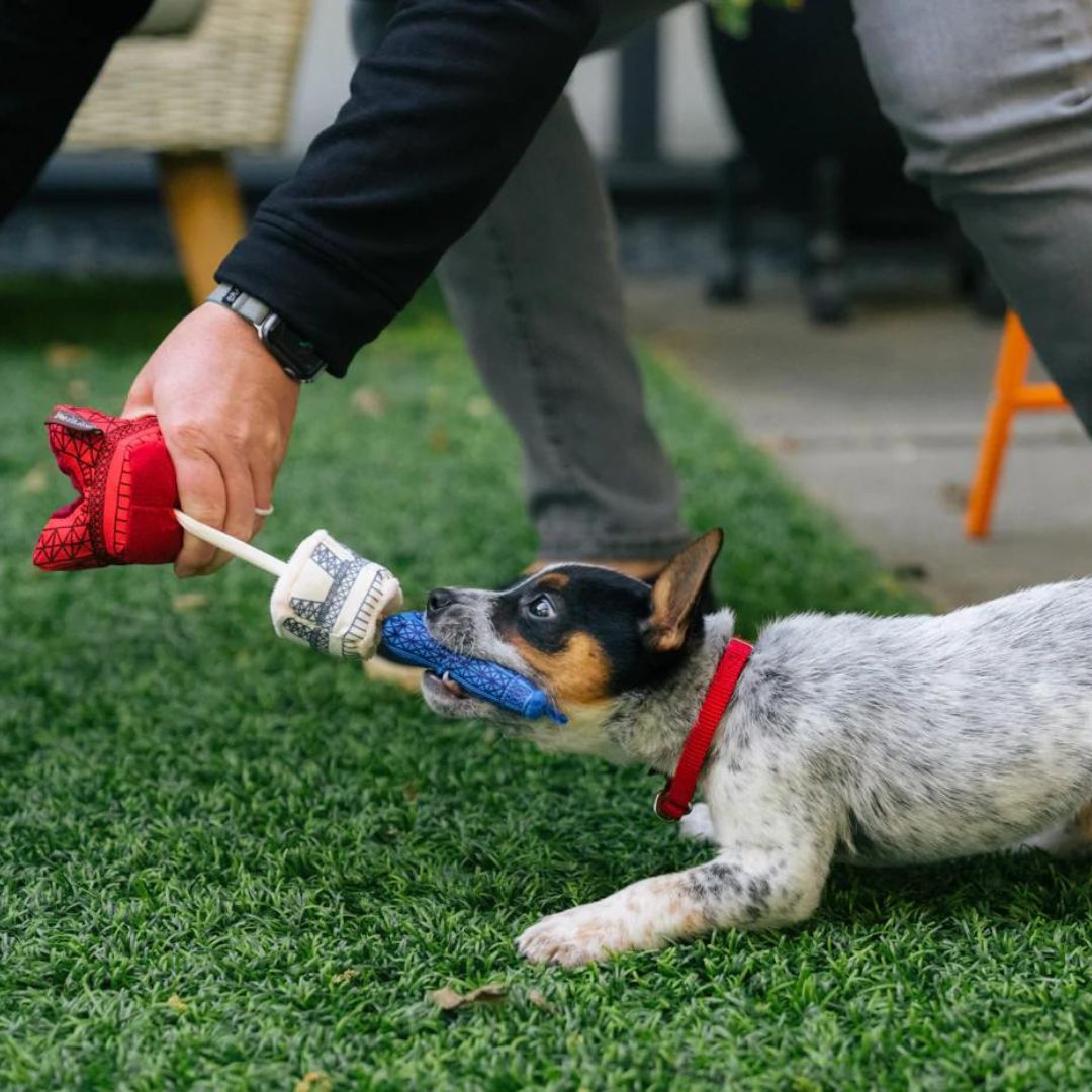 PLAY-Hundespielzeug-Eiffelturm-Hund-klein