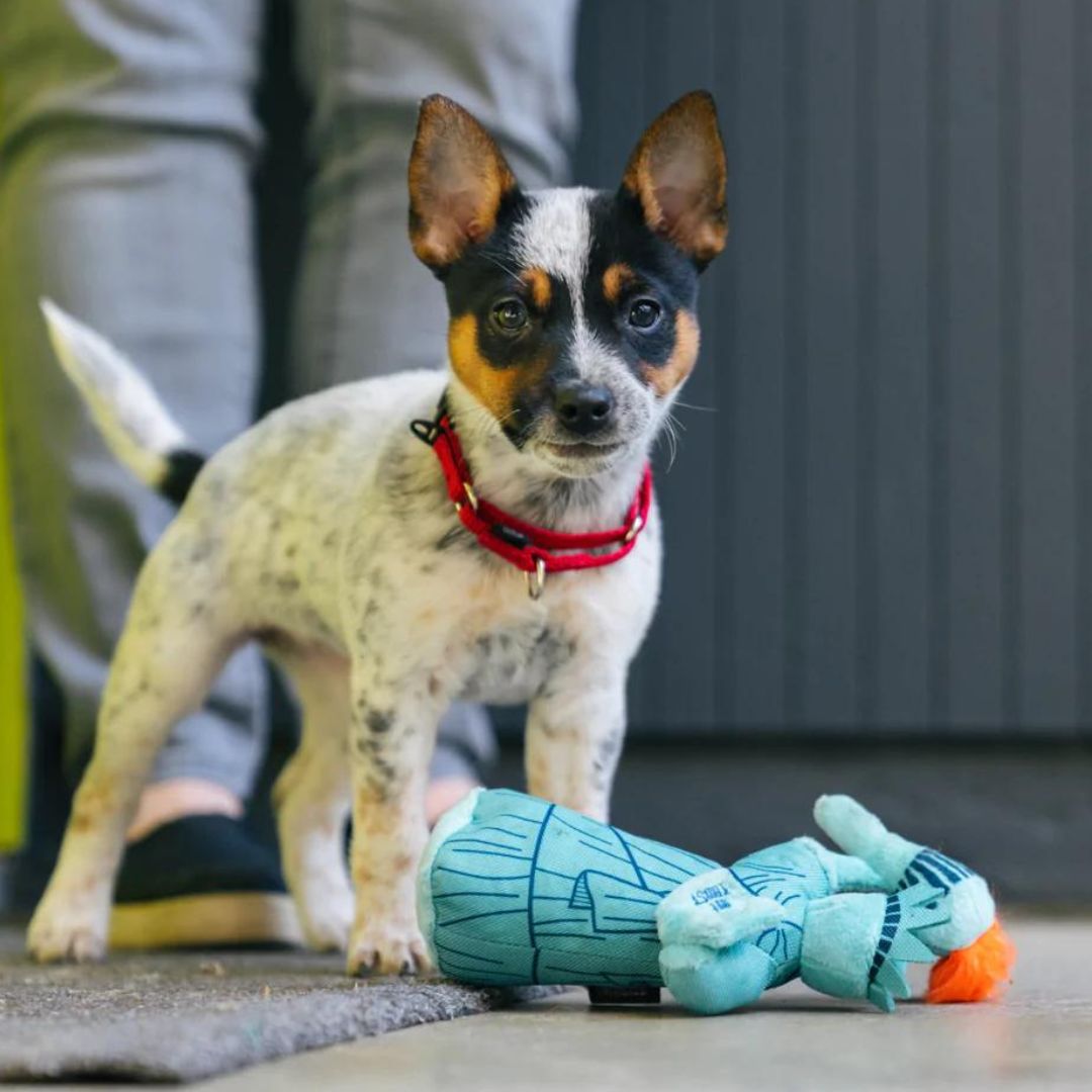 PLAY-Hundespielzeug-Miss-Liberty-Hund-klein