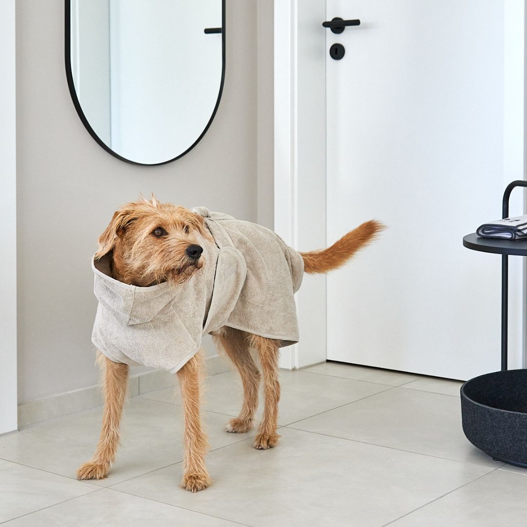 MiaCara-Hundebademantel-Bagno-Greige-Hugo