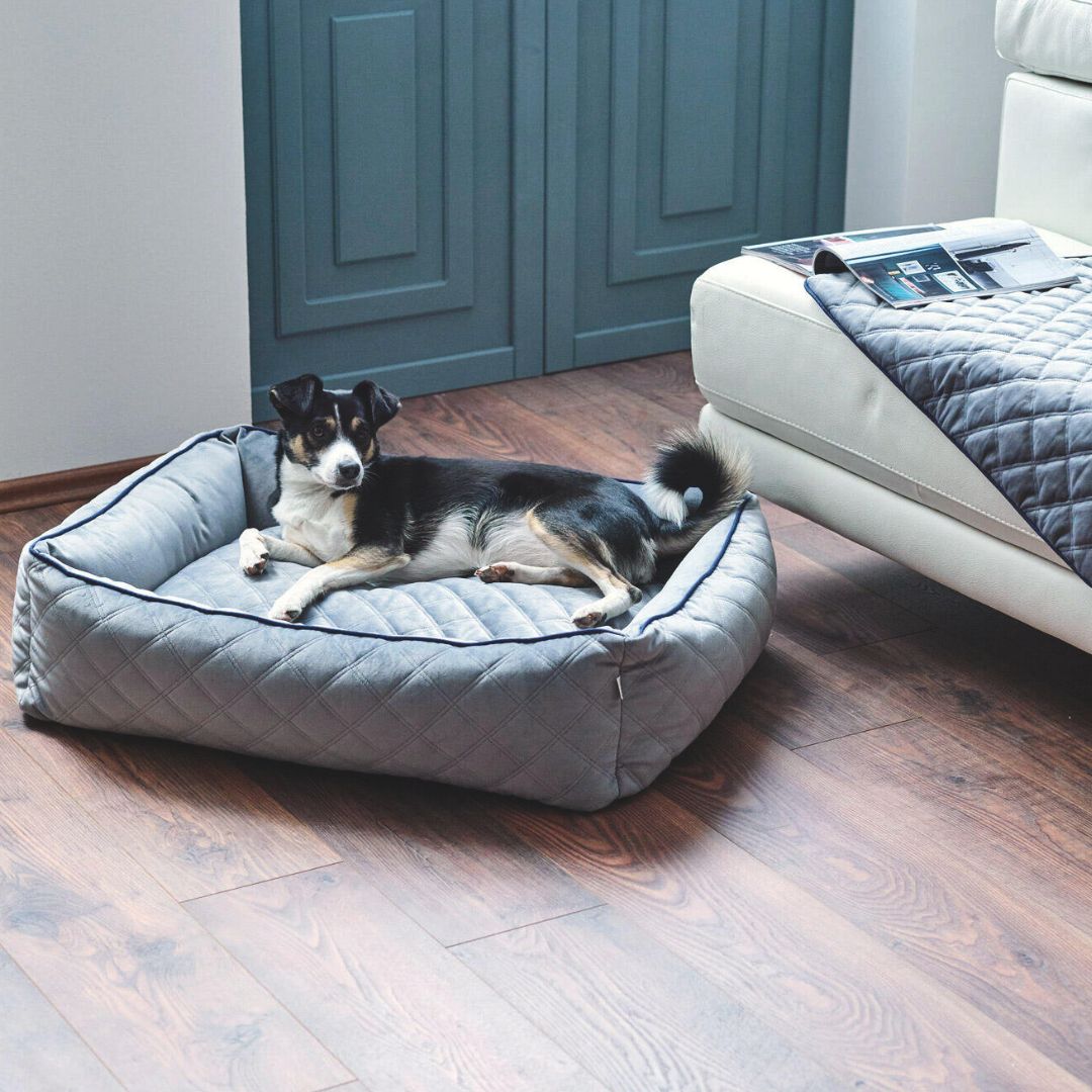 Laboni-Classic-Hundebett-Oxford-Grey-Mood