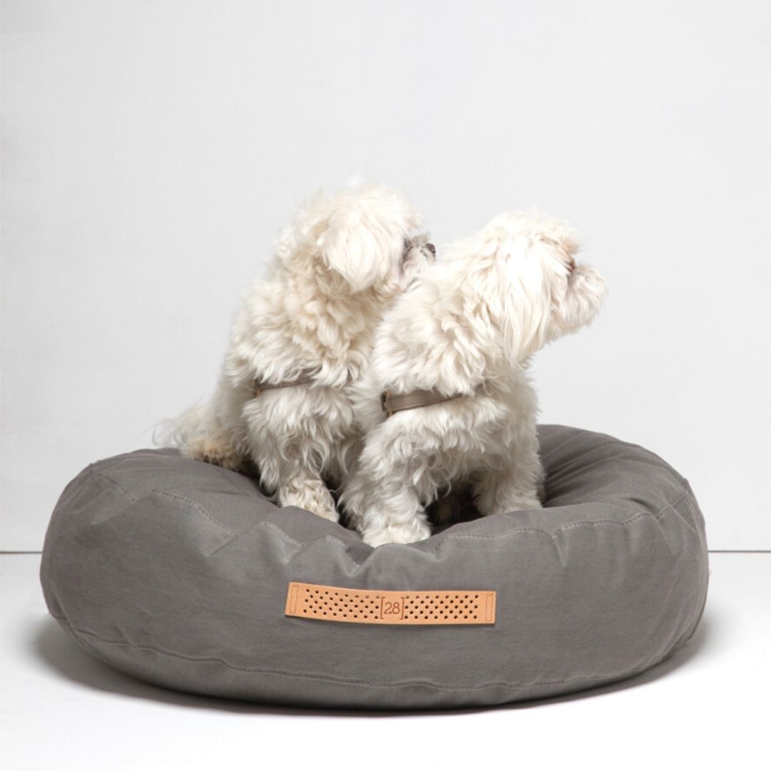 2.8-duepuntootto-design-for-dogs-hundekissen-fulvio-cotton-drill-Pale-Dove-Hunde