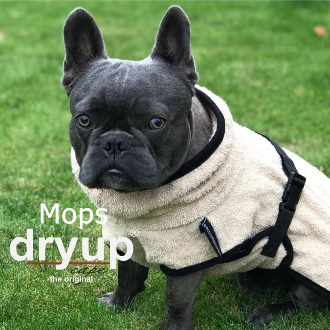 Hundebademantel-Dryup-Cape-Mops-Sand