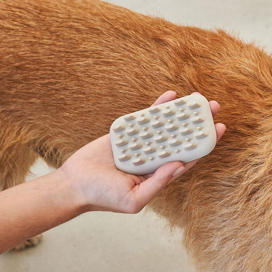 MiaCara-Pelo-Hundebürste-Hund-Anwendung