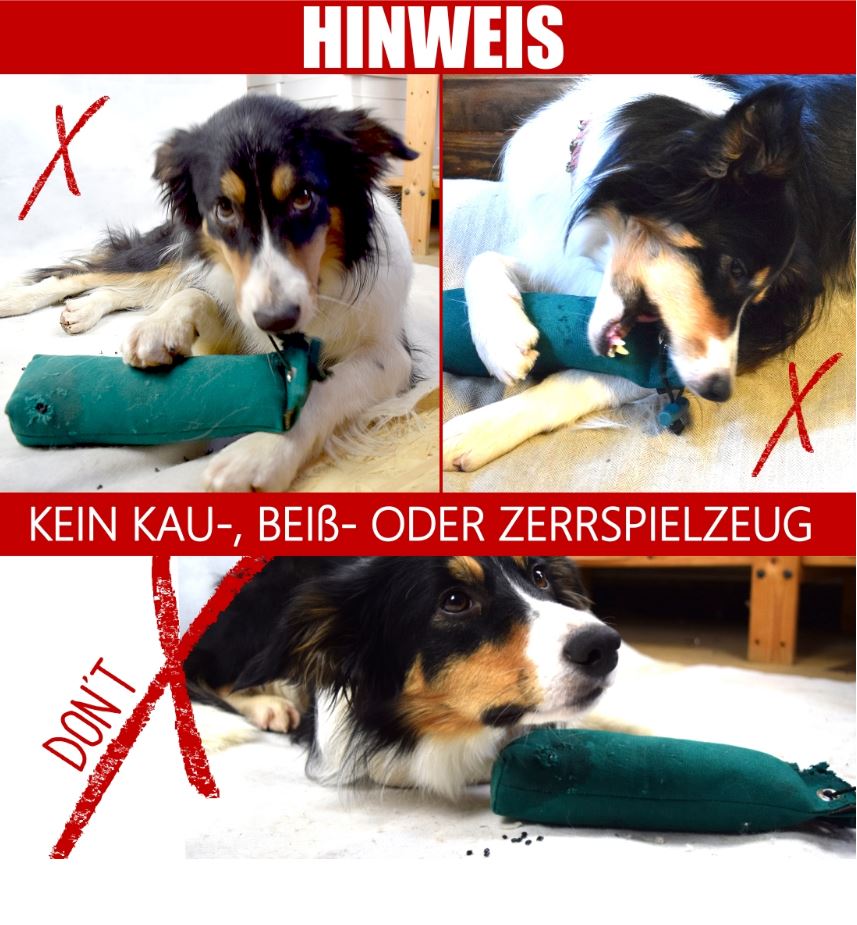 Romneys-Warnhinweis-Dummys