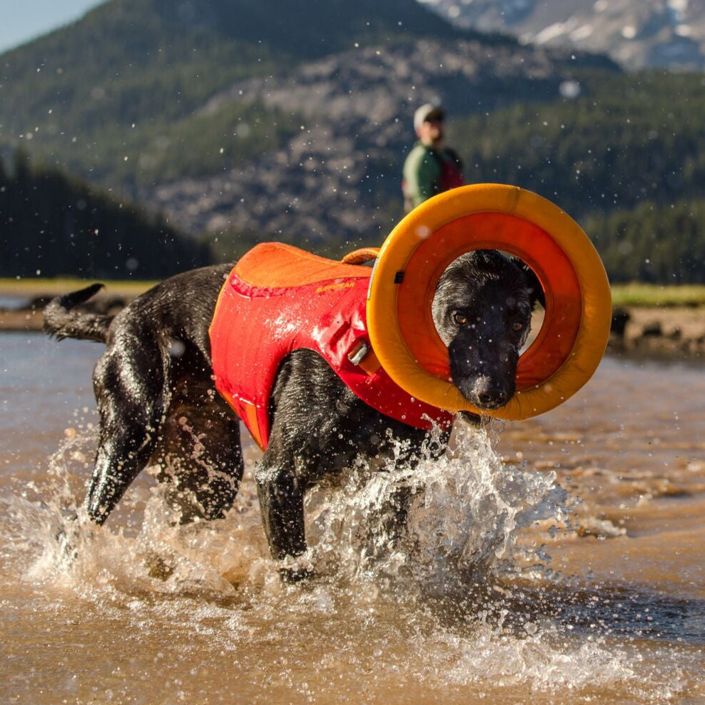 Ruffwear-Hydro-Plane-Campfire-Orange-Hund