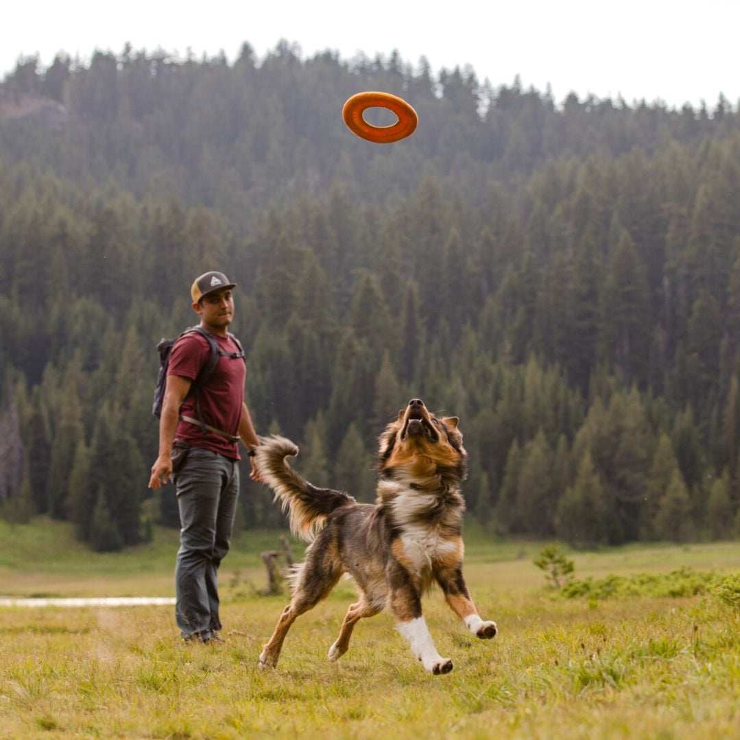 Ruffwear-Hydro-Plane-Campfire-Orange-land