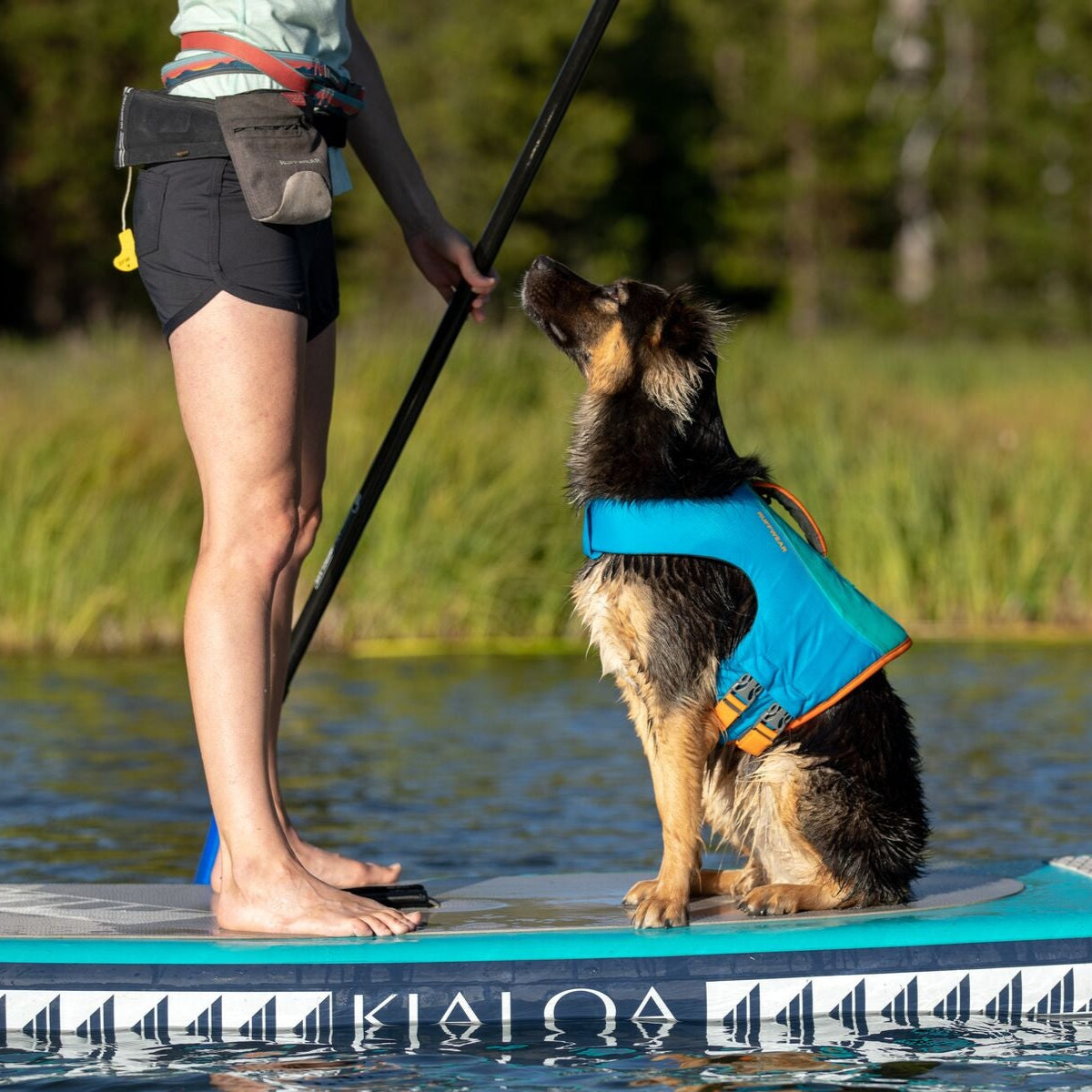 Ruffwear-Hundeschwimmweste-Float-Coat-Blue-Dusk-Hund