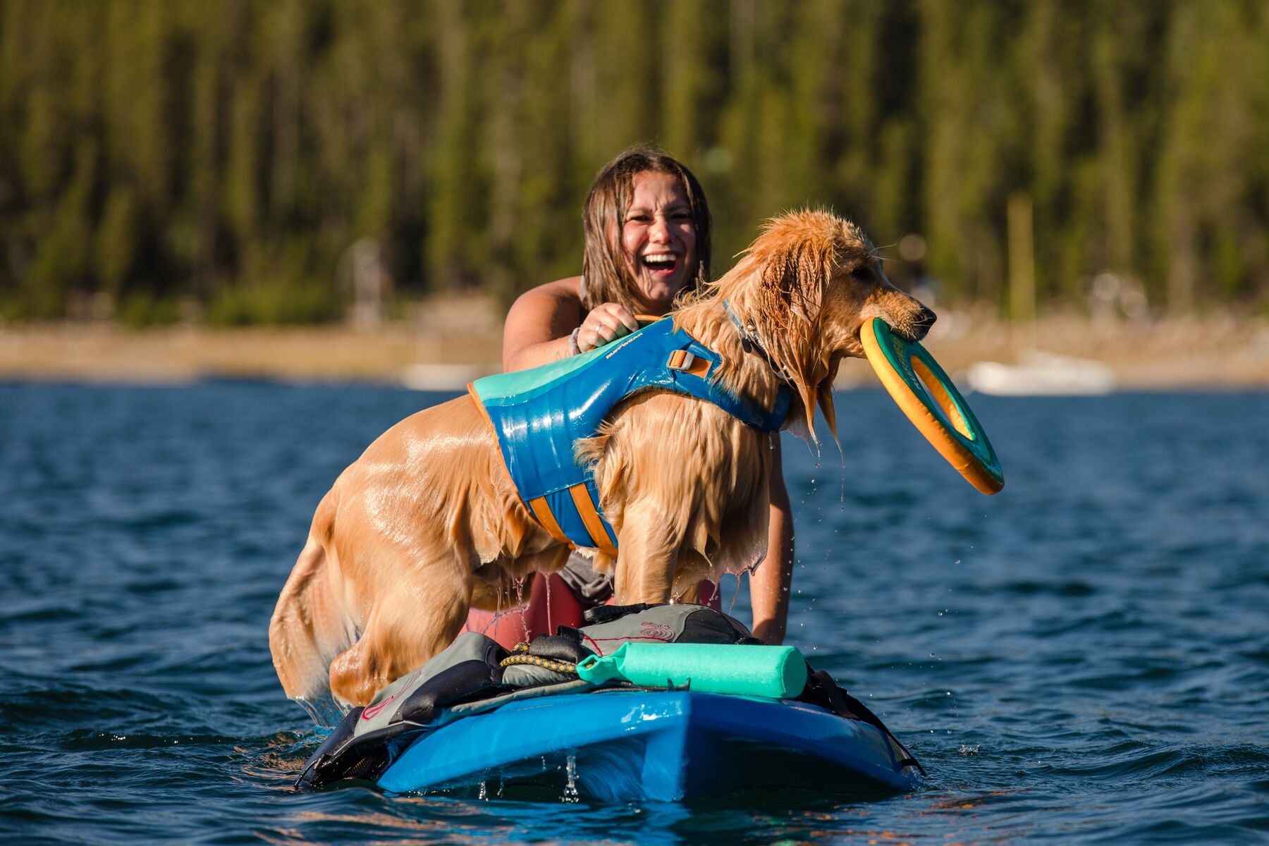 Ruffwear-Hundeschwimmweste-Float-Coat-Blue-Dusk-Wasser