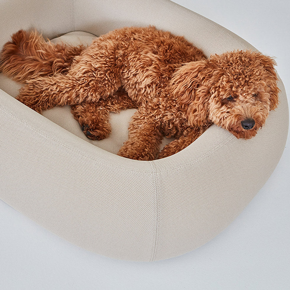 MiaCara-Hundebett-Barca-Taupe-Draufsicht
