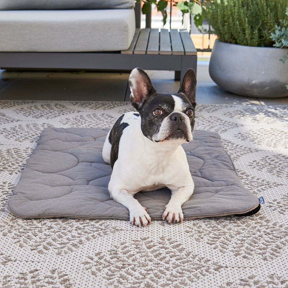 MiaCara-Hundedecke-Steppdecke-Linea-Hund2