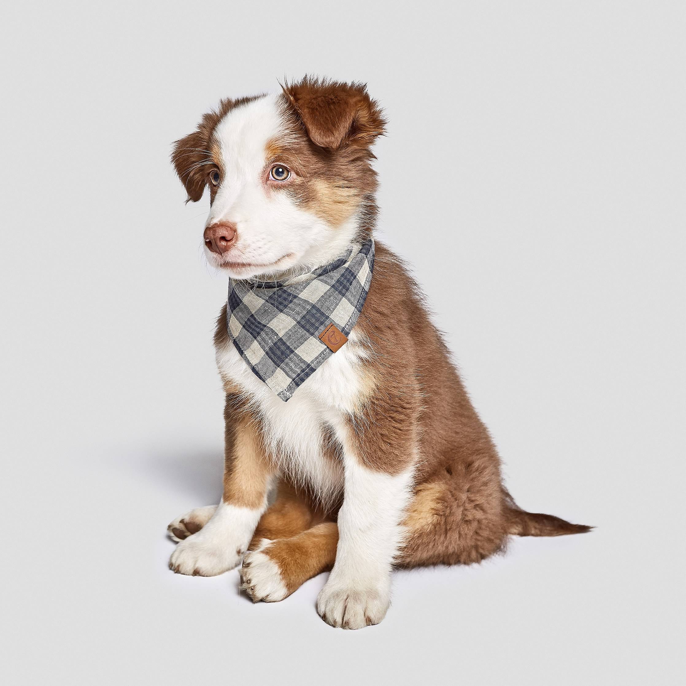Cloud7-Hundebandana-Hundehalstuch-Dark-Blue-Beige-Hund