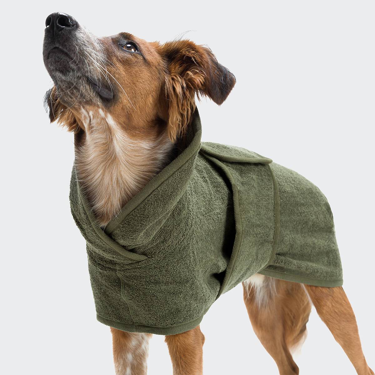 Cloud7-Hundebademantel-Hundehandtuch-Set-Föhr-Sage-Hund1