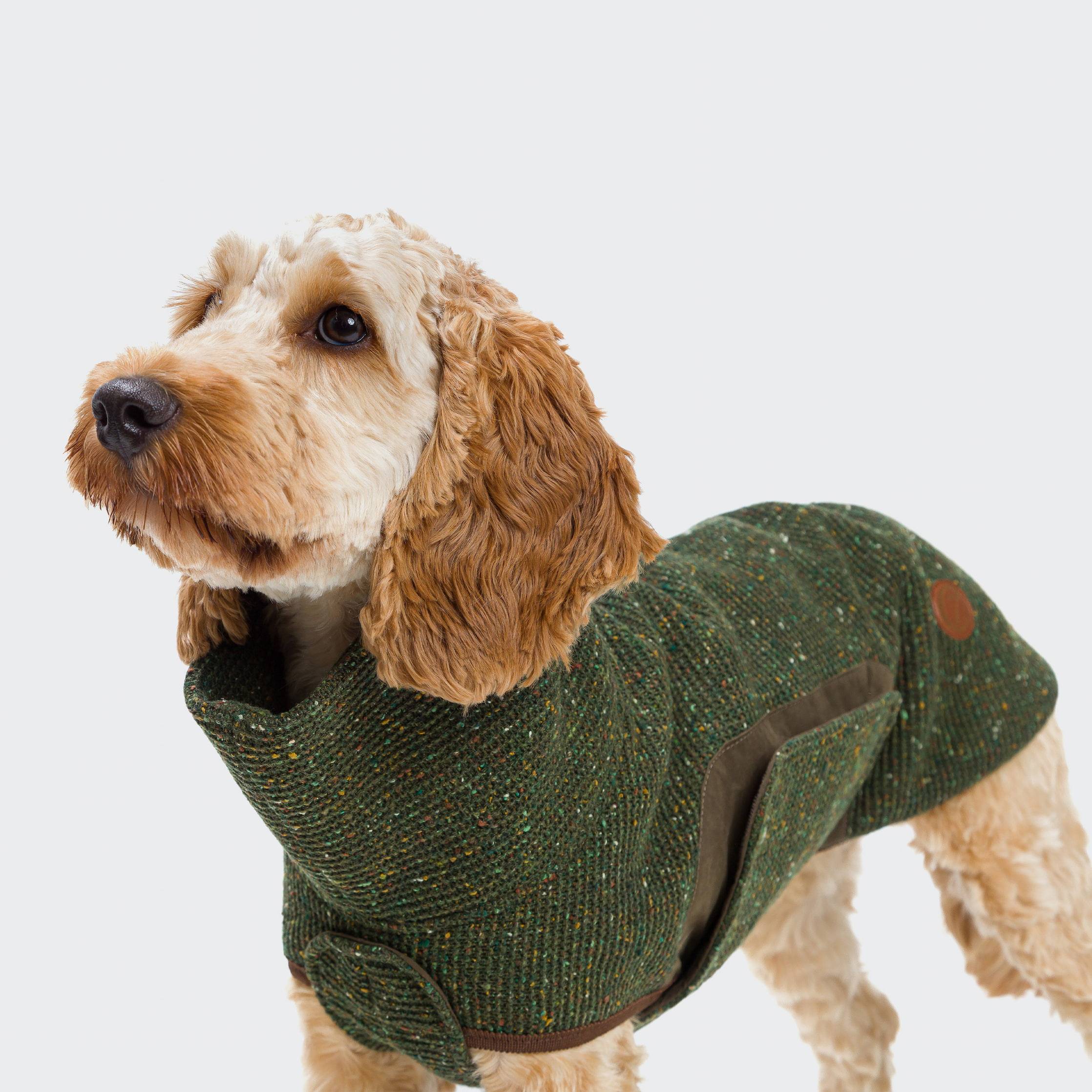 Cloud7-Hundepullover-Hundesweater-Dorste-Bottle-Green-Hund
