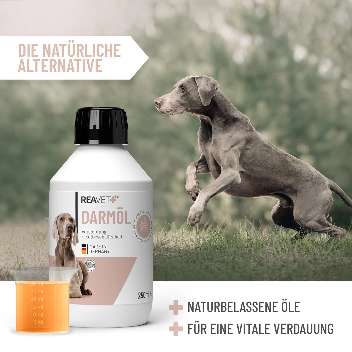 ReaVET-Darmöl-250ml-Mood