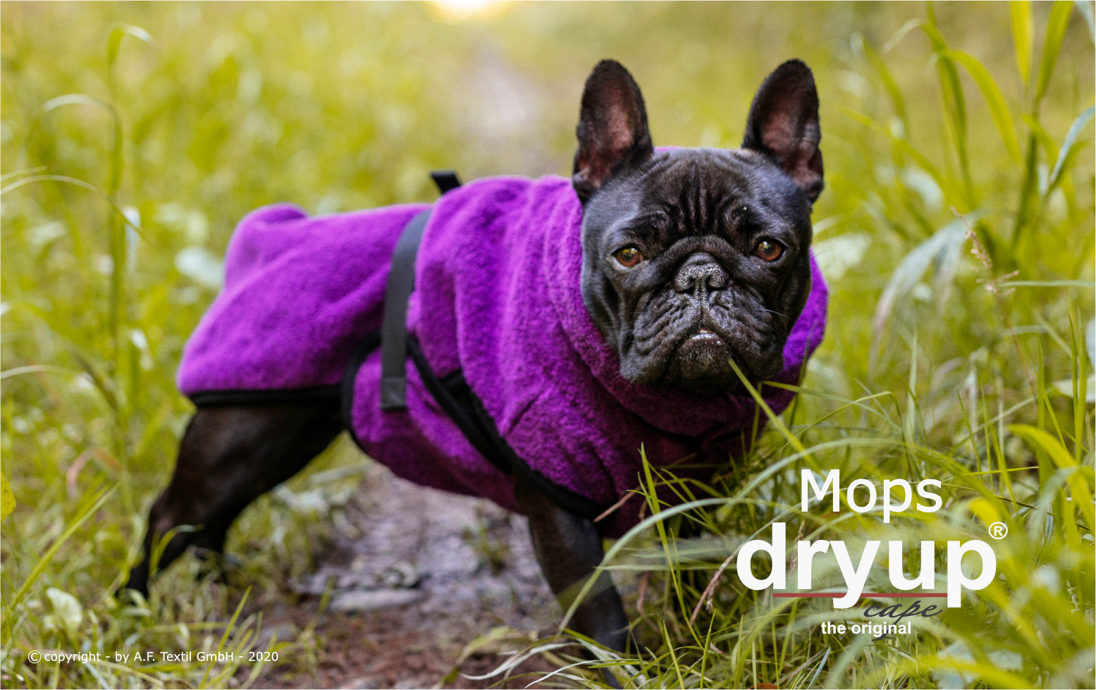 Hundebademantel-Dryup-Cape-Mops-Bilberry-Hund3