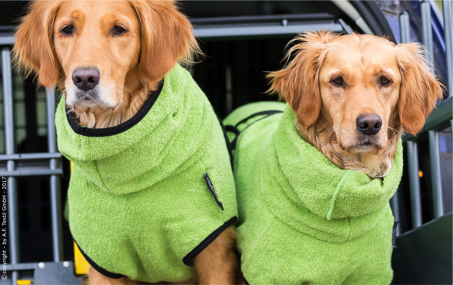 Hundebademantel-Dryup-Cape-Kiwi-Hunde