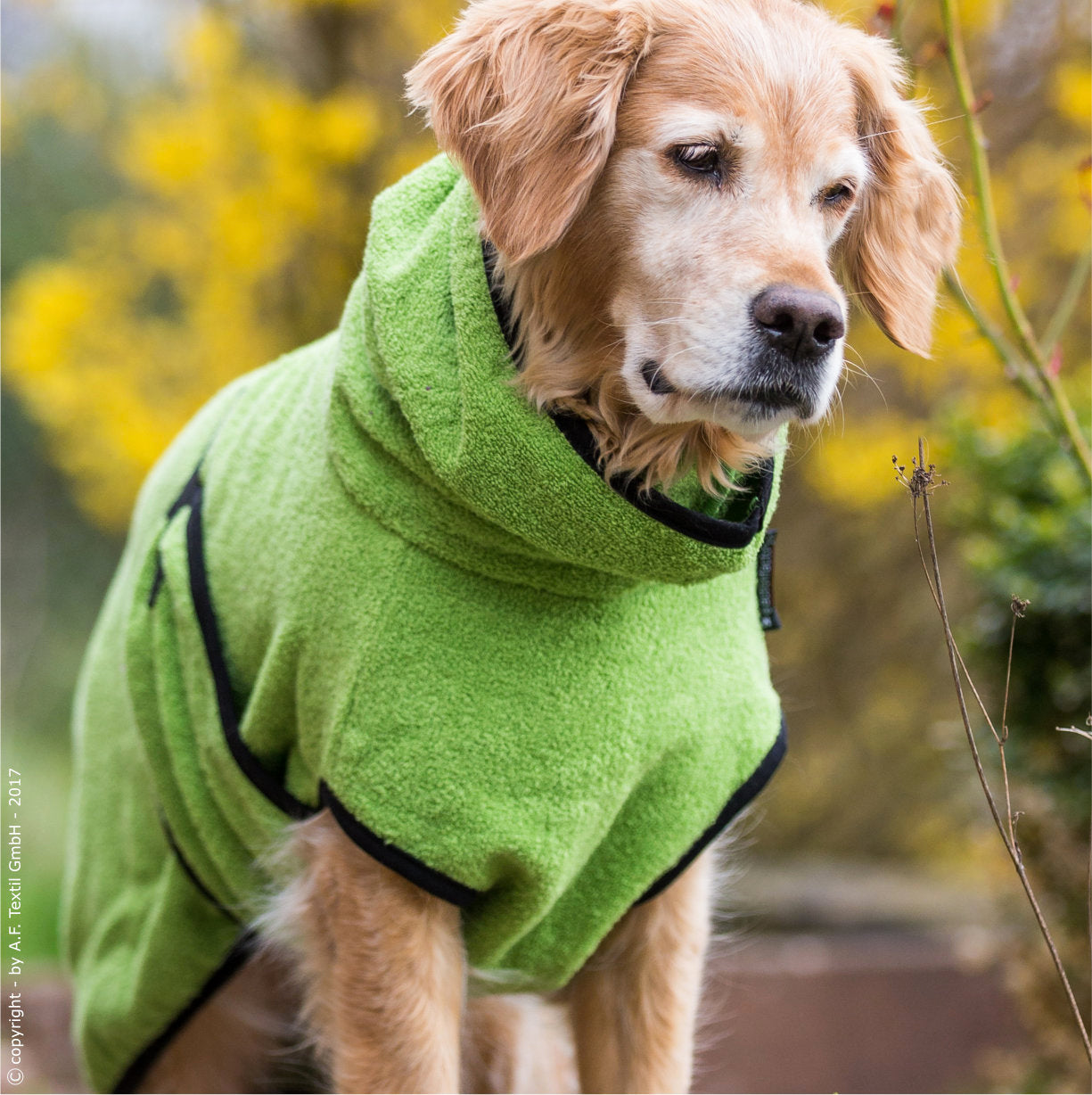 Hundebademantel-Dryup-Cape-Kiwi