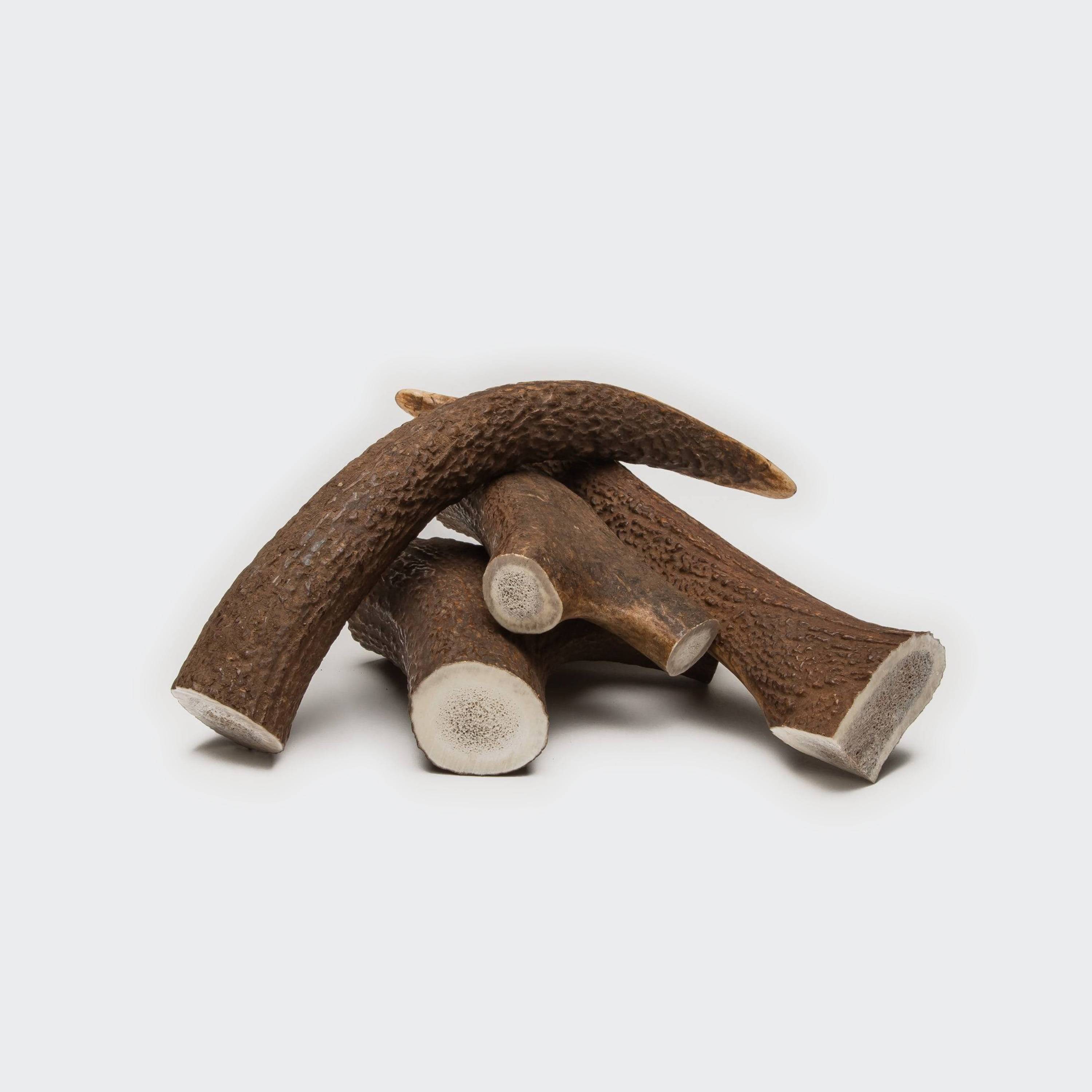 Cloud7-Kaustange-Hirschgeweih-Hischhorn