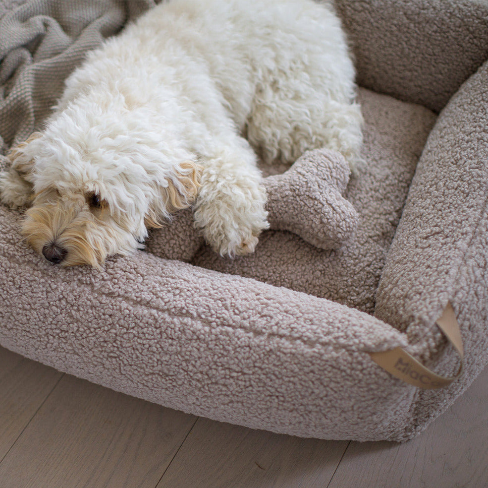 MiaCara-Senso-Hundebett-Box-Bett-Greige-Hund-2